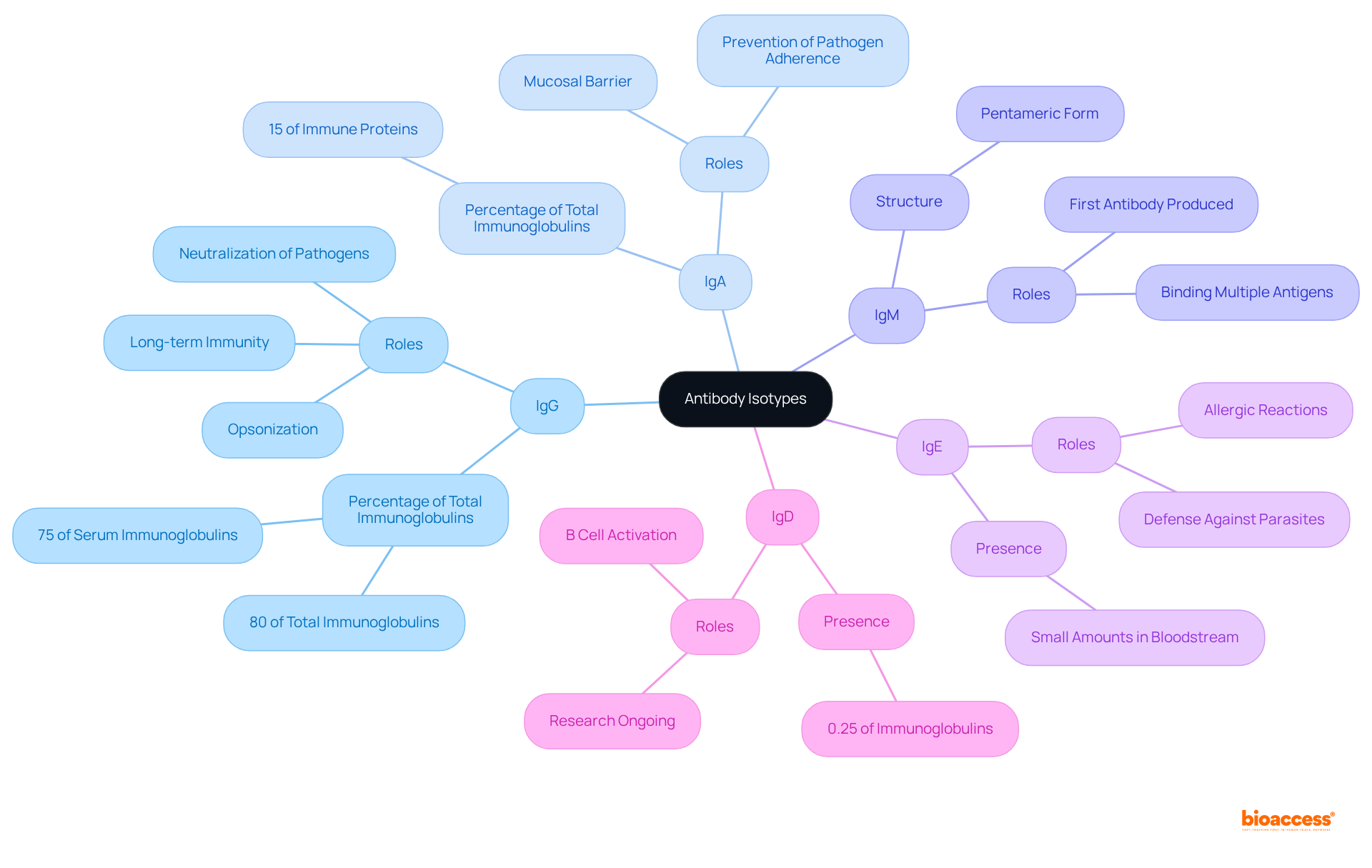 The central node represents the concept of antibody isotypes, with branches showing each type and their specific roles. The further you go from the center, the more detailed the information becomes. Use this map to understand how each isotype contributes to immune responses.