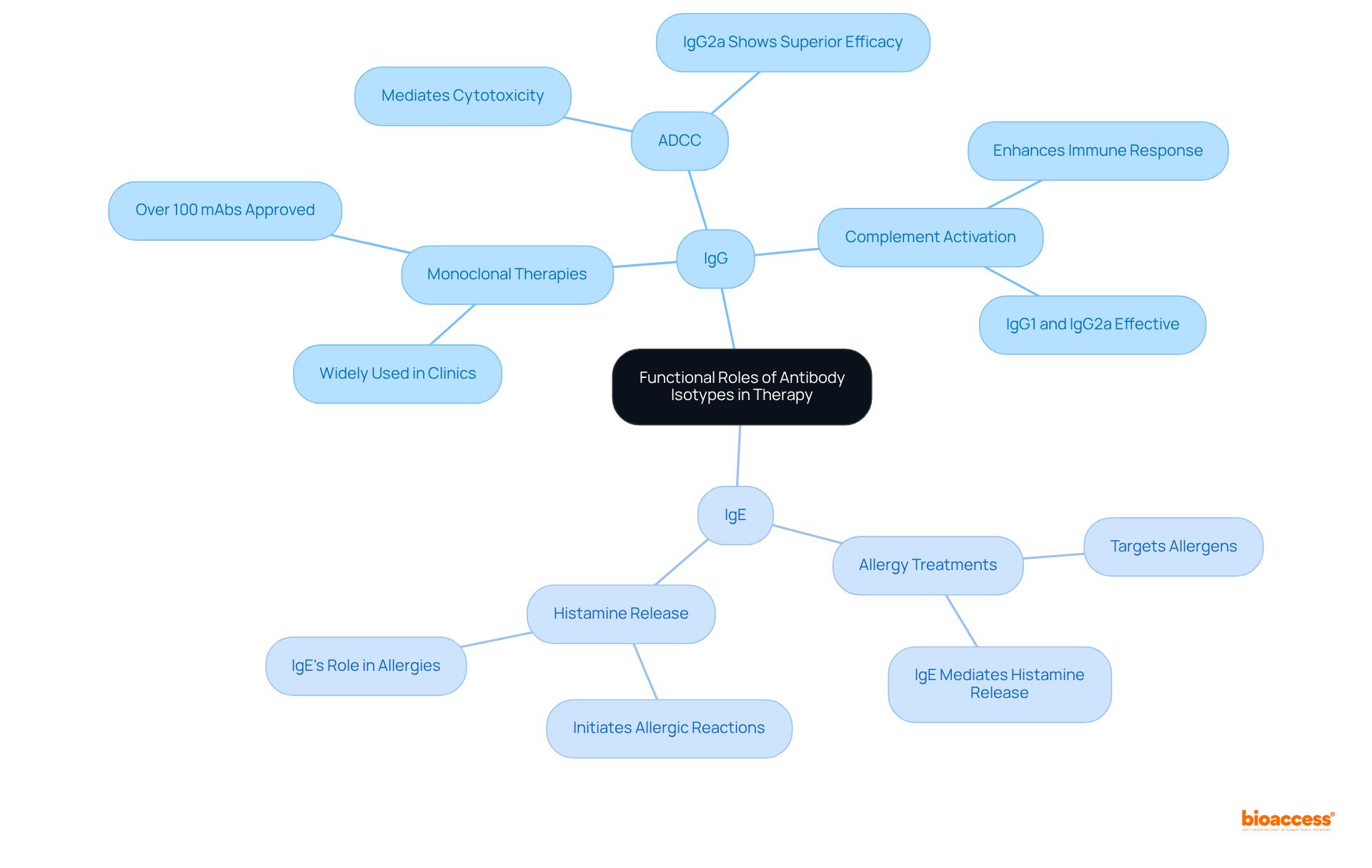 The central node represents the overall theme, while branches illustrate specific antibody types and their therapeutic roles. This structure helps you see how each type contributes to treatment strategies.