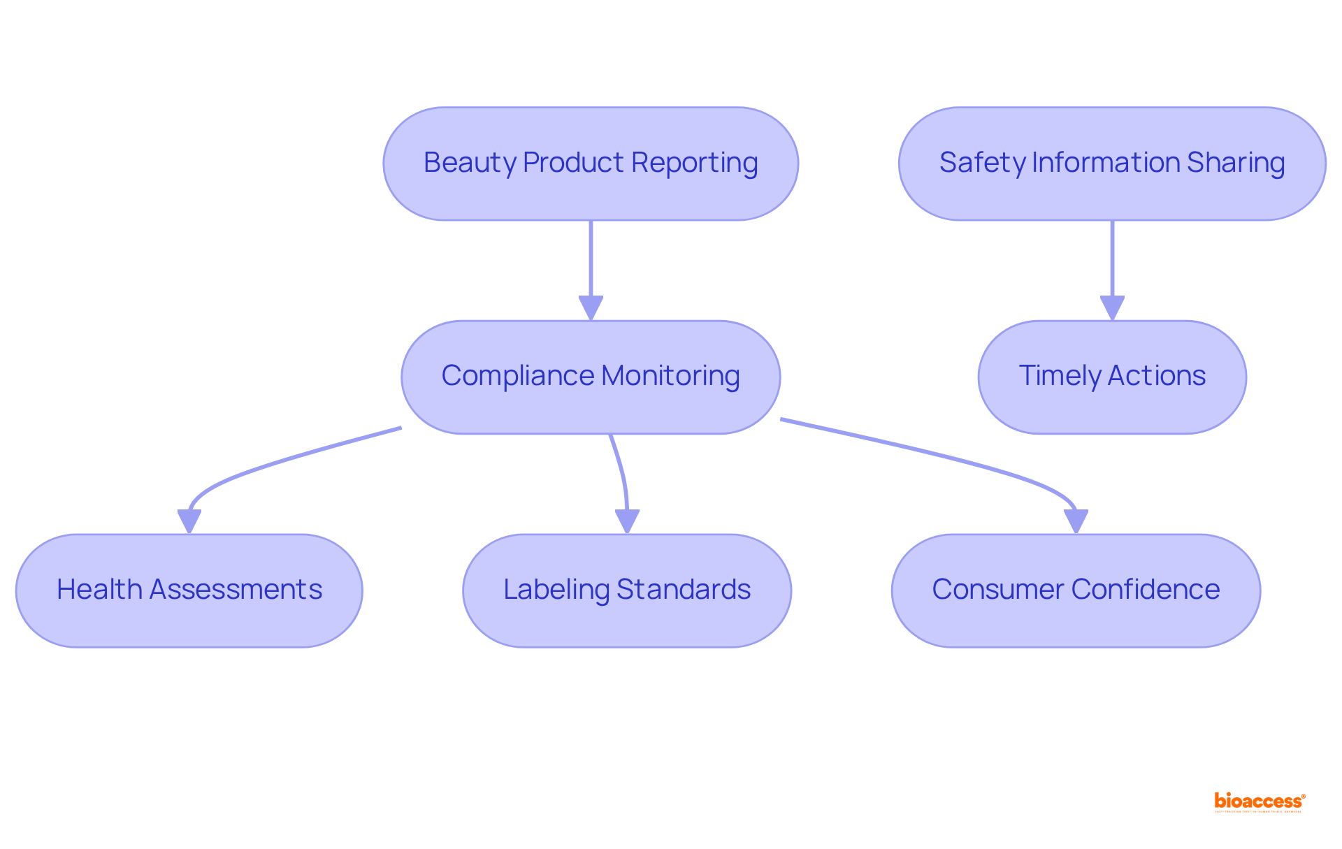 Each box represents a step in ensuring beauty product safety — follow the arrows to see how reporting leads to monitoring and consumer protection.