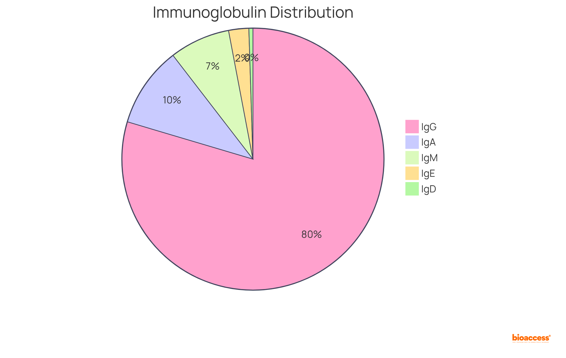 Each slice of the pie shows the percentage of each type of immunoglobulin in the total pool. The larger the slice, the more prevalent that immunoglobulin type is in the immune response.