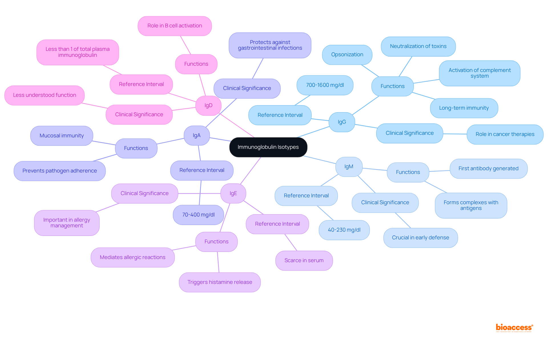 At the center is the main topic, 'Immunoglobulin Isotypes'. Each branch represents a different isotype with its functions and clinical importance. Follow the branches to explore how each isotype contributes to immune responses.