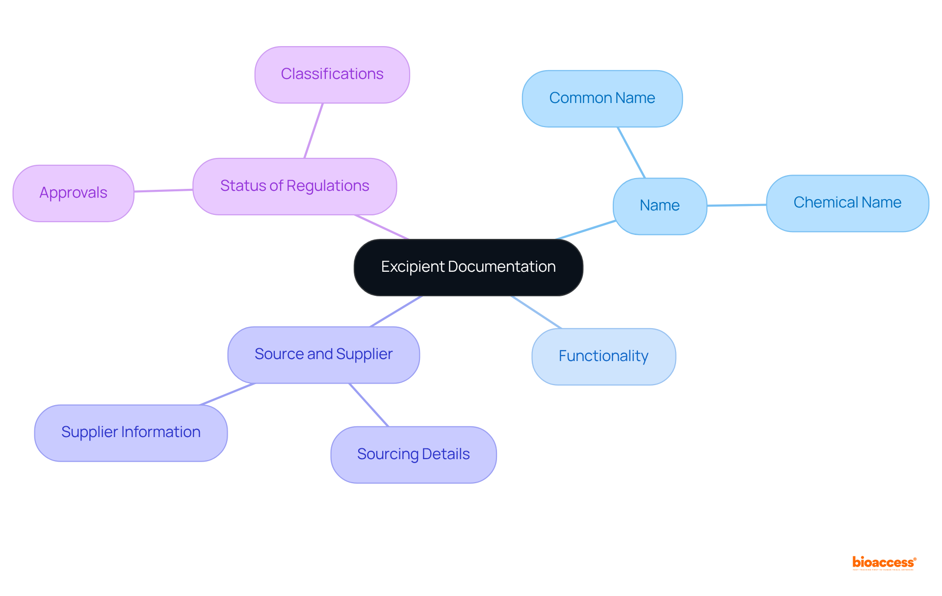 Start from the center with the main focus on documenting excipients, and follow the branches to explore each specific category and its details. Each branch represents a different aspect of the excipient information.