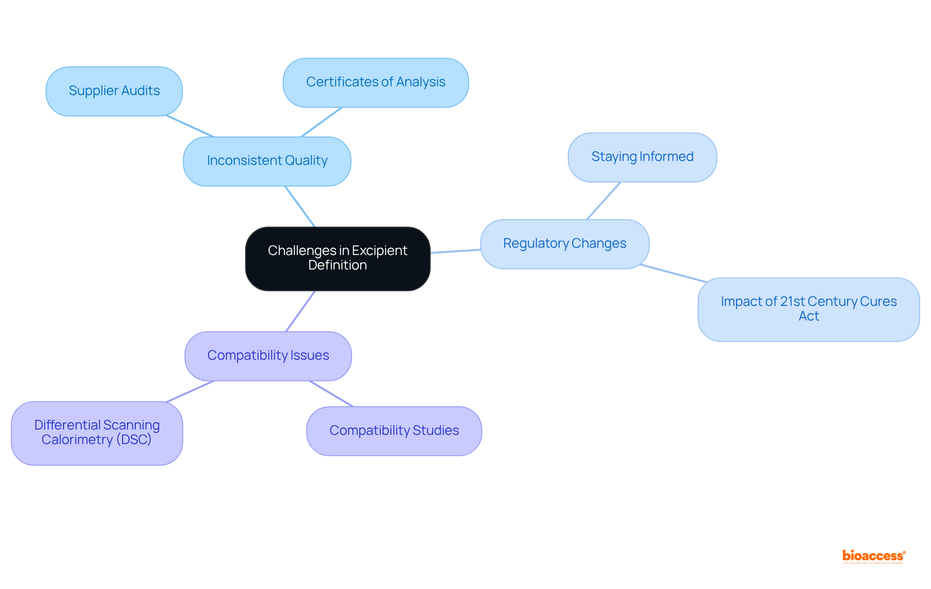 The central node represents the overall theme of challenges in excipient definition. Each branch represents a specific challenge, with further details branching out to illustrate practices and considerations associated with each challenge.