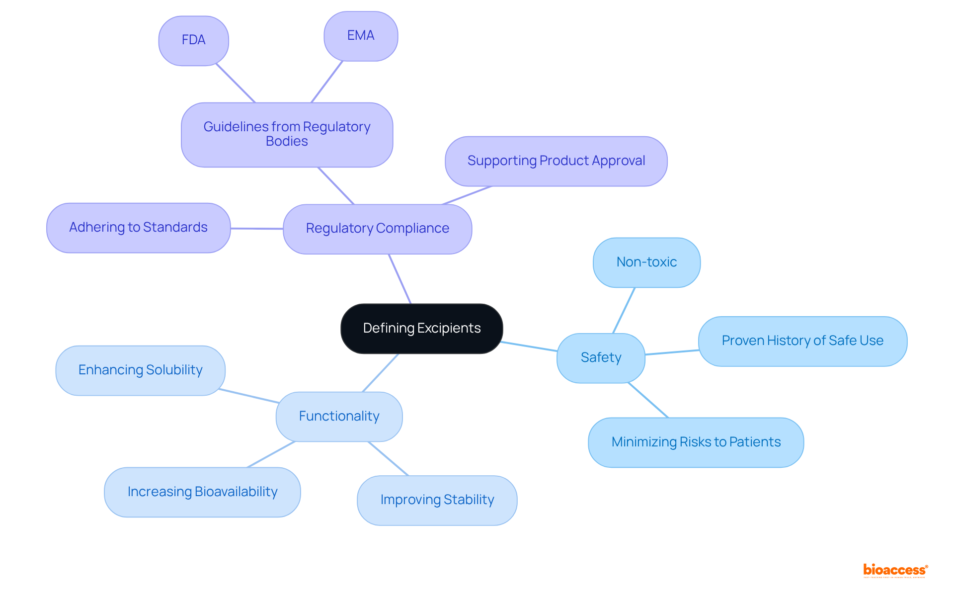 The central node represents the overall goal of defining excipients. The branches indicate the main criteria to consider, and the sub-branches provide detailed aspects related to each criterion.