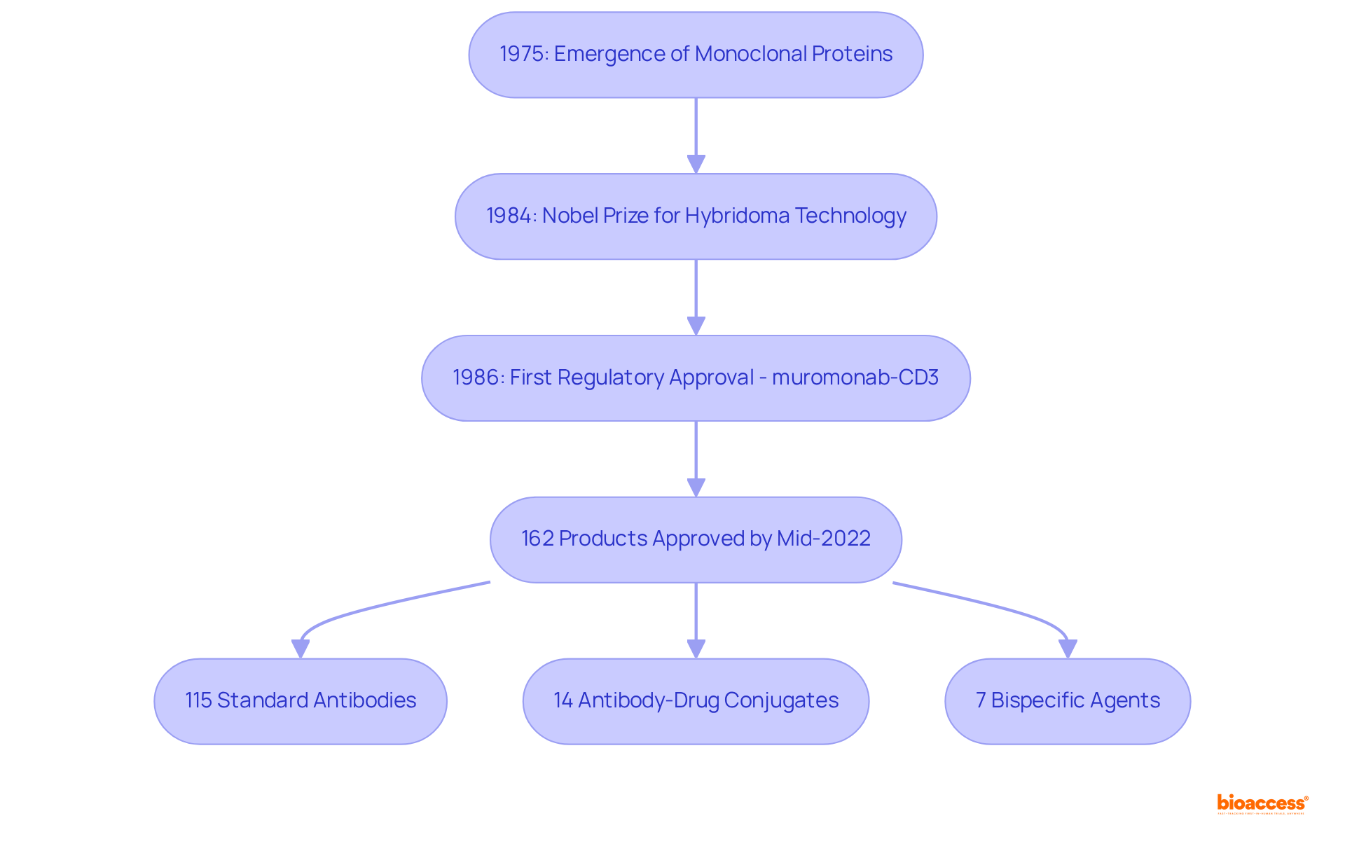 This flowchart traces the key milestones in the development of monoclonal antibodies. Each box represents a significant event, and the arrows show how these events connect over time.