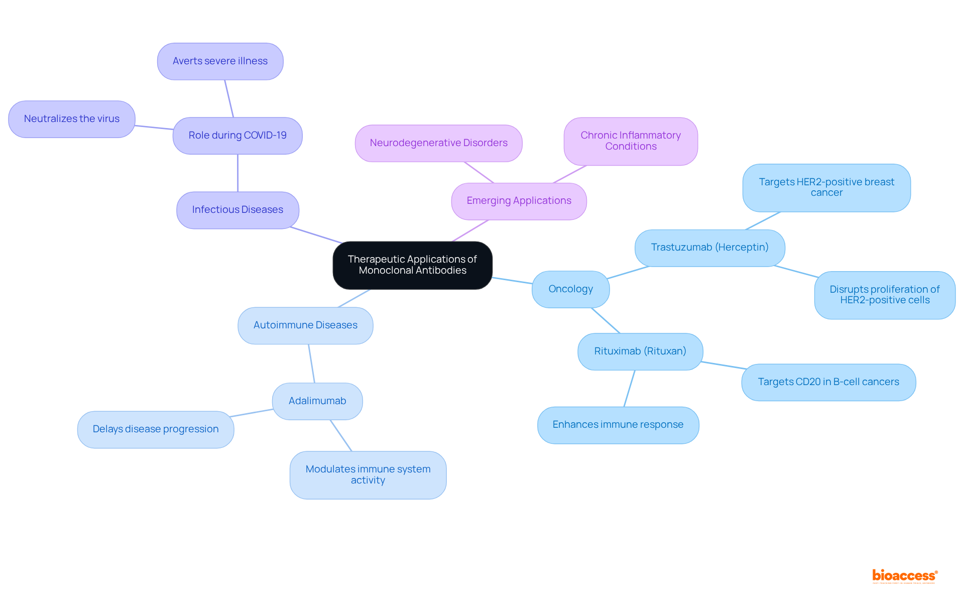 At the center is the main topic, then follow the branches to learn about the different medical areas where monoclonal antibodies are used, along with specific examples and their purposes.