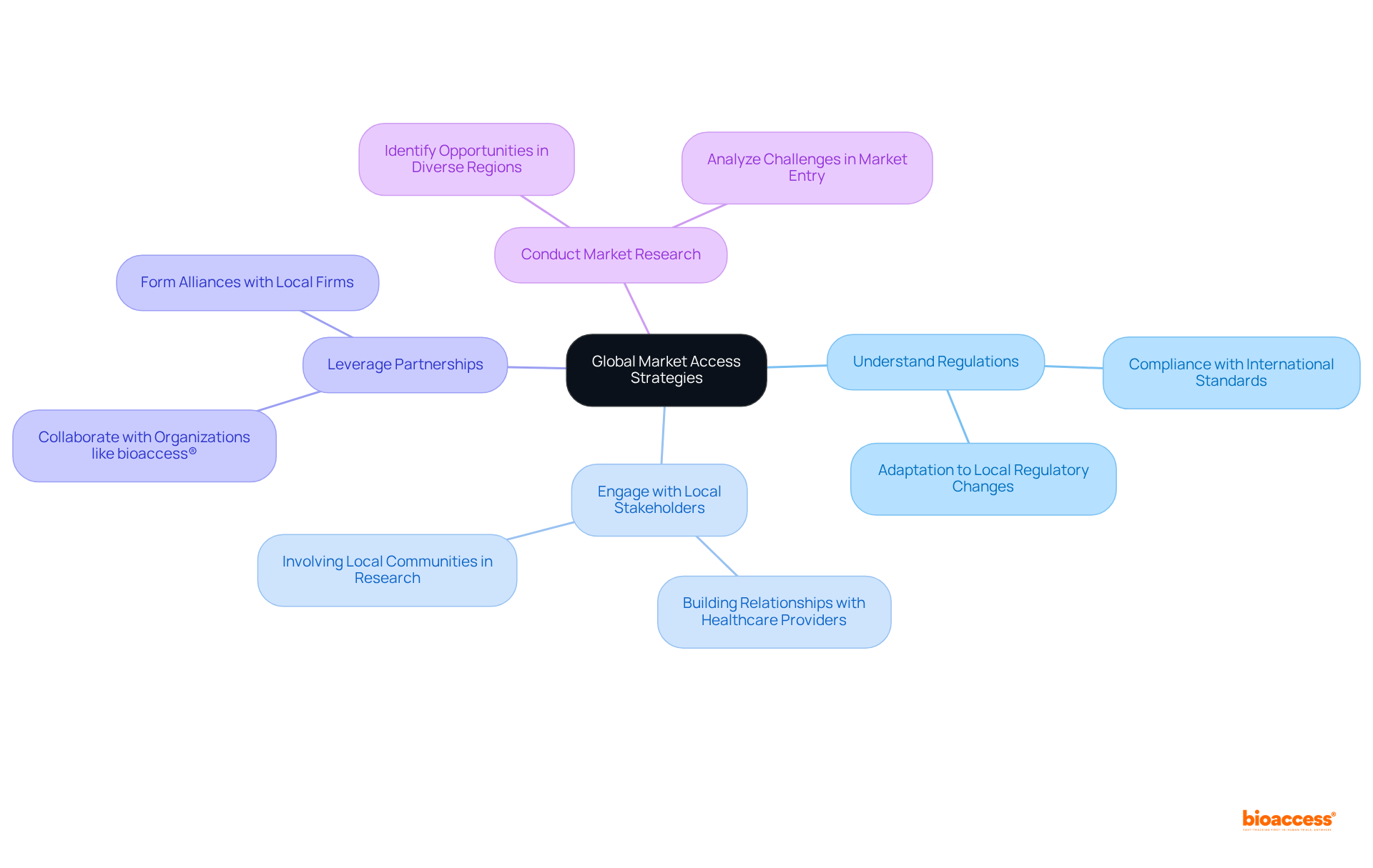 The center represents the main goal of enhancing global market access. Each branch shows a key strategy, while sub-branches (if added) can detail specific actions or considerations related to those strategies.