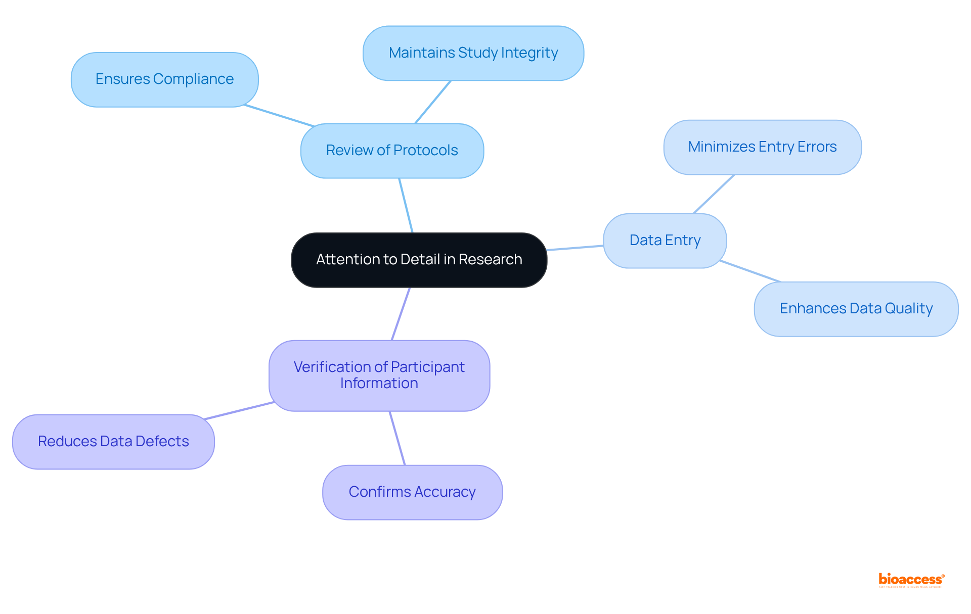 The central idea is attention to detail, with branches showing specific tasks that help reduce errors. Each color represents a different area of responsibility, illustrating how they all contribute to successful research.