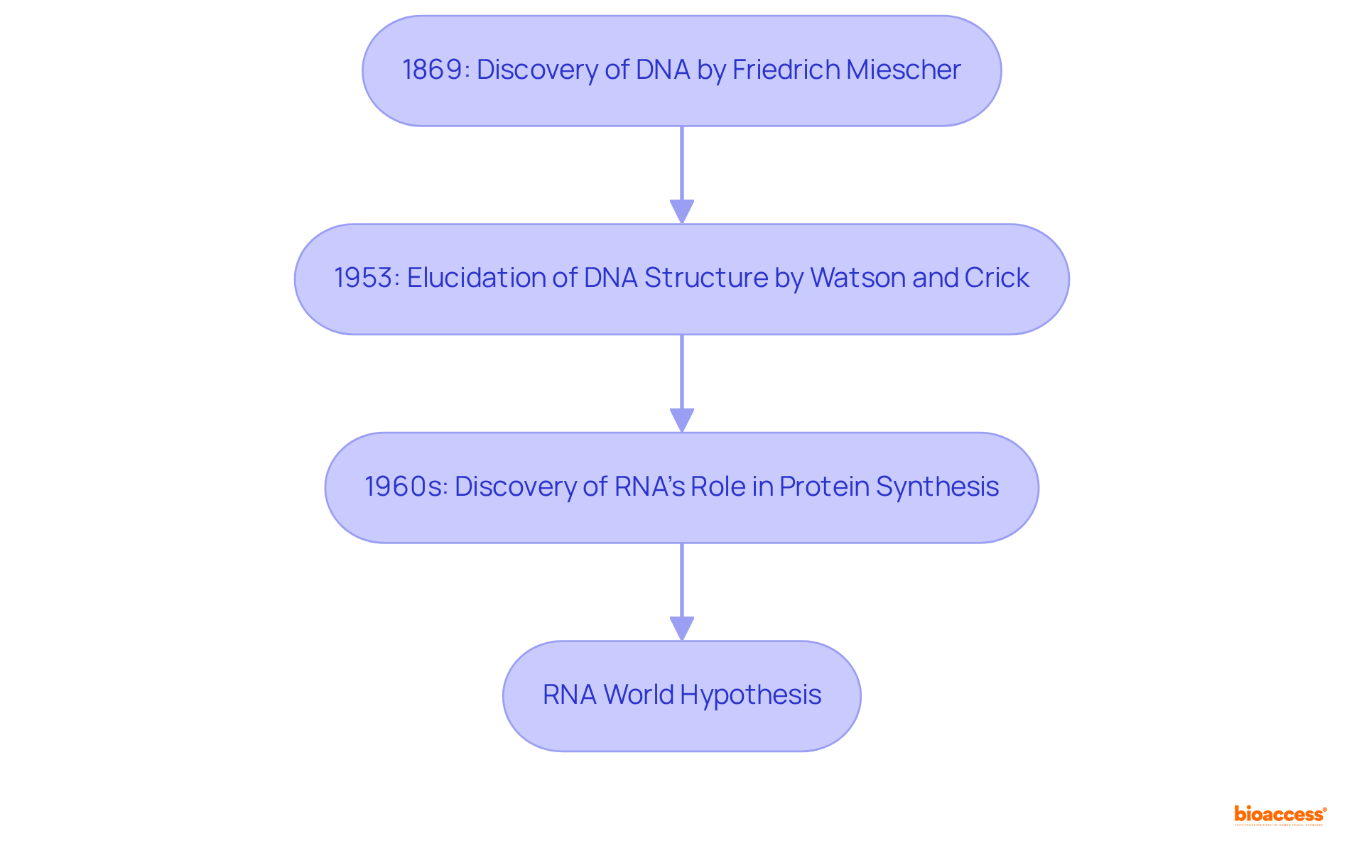 Each box represents an important milestone in the history of DNA and RNA. The arrows show the chronological order of these discoveries, helping you see how understanding evolved over time.