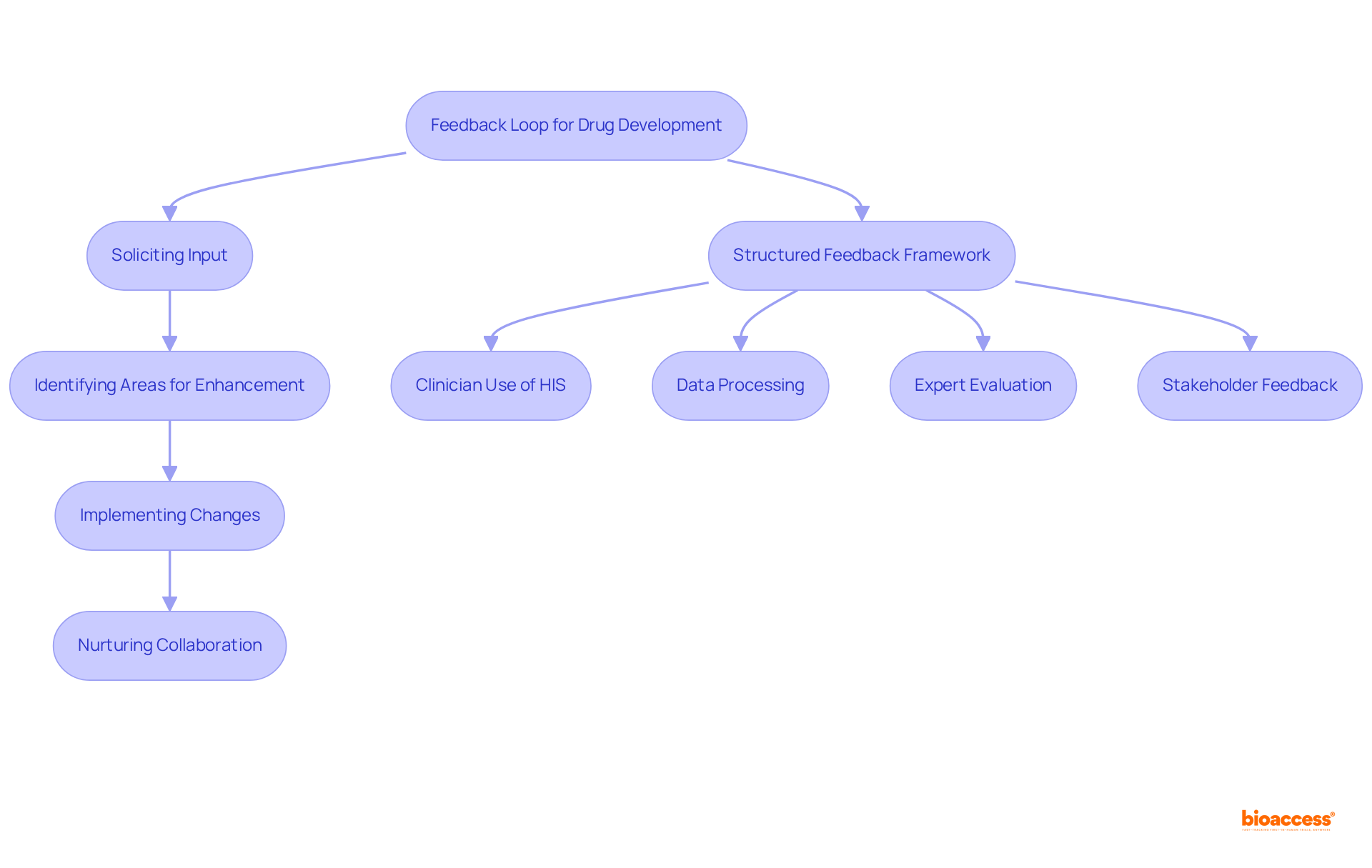 This flowchart outlines the steps involved in establishing effective feedback loops for continuous improvement. Follow the arrows to see how input is gathered and used to enhance drug formulation.