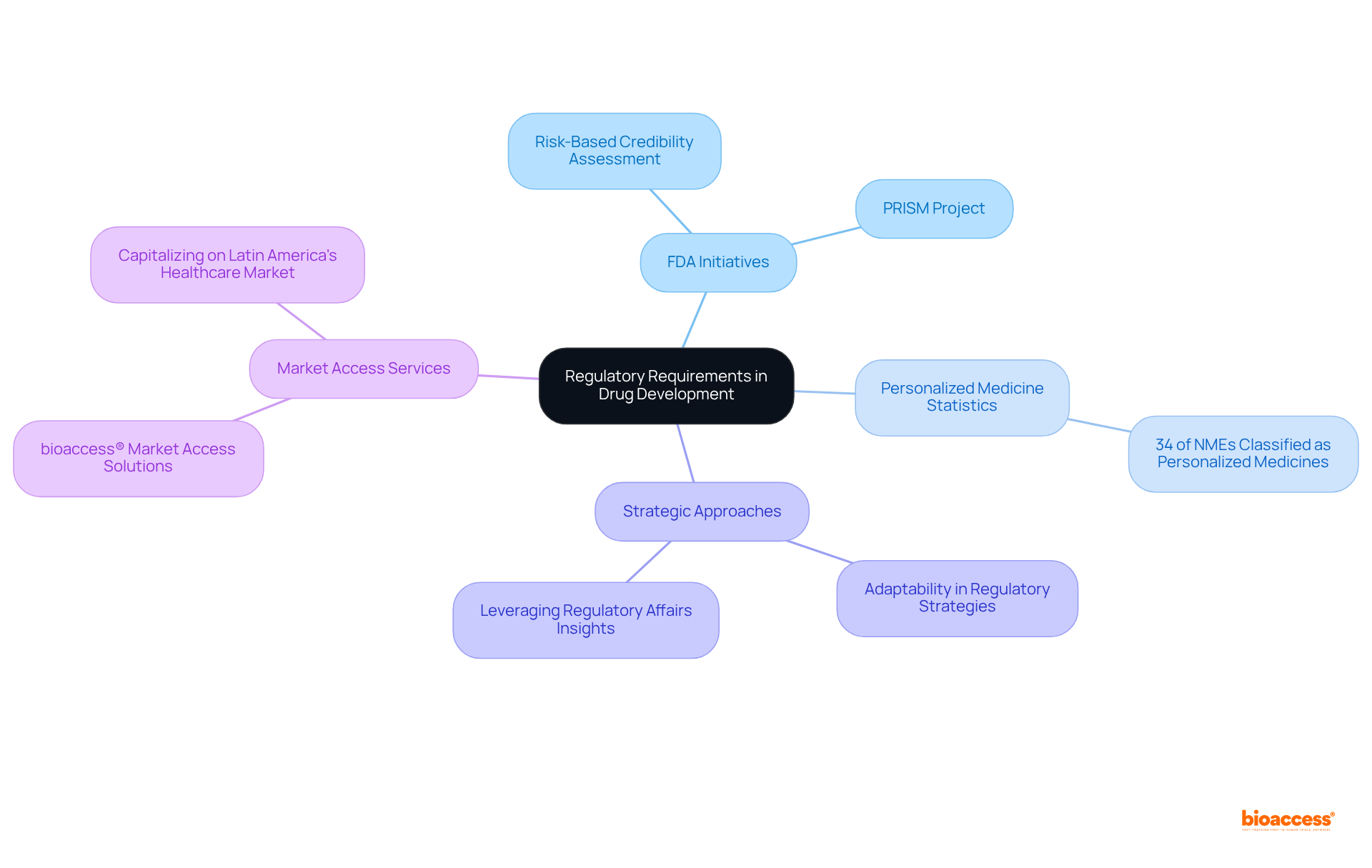 The central node represents the main focus on regulatory requirements. Each branch shows a different aspect of navigating these requirements, helping you see how they interconnect and impact drug development strategies.