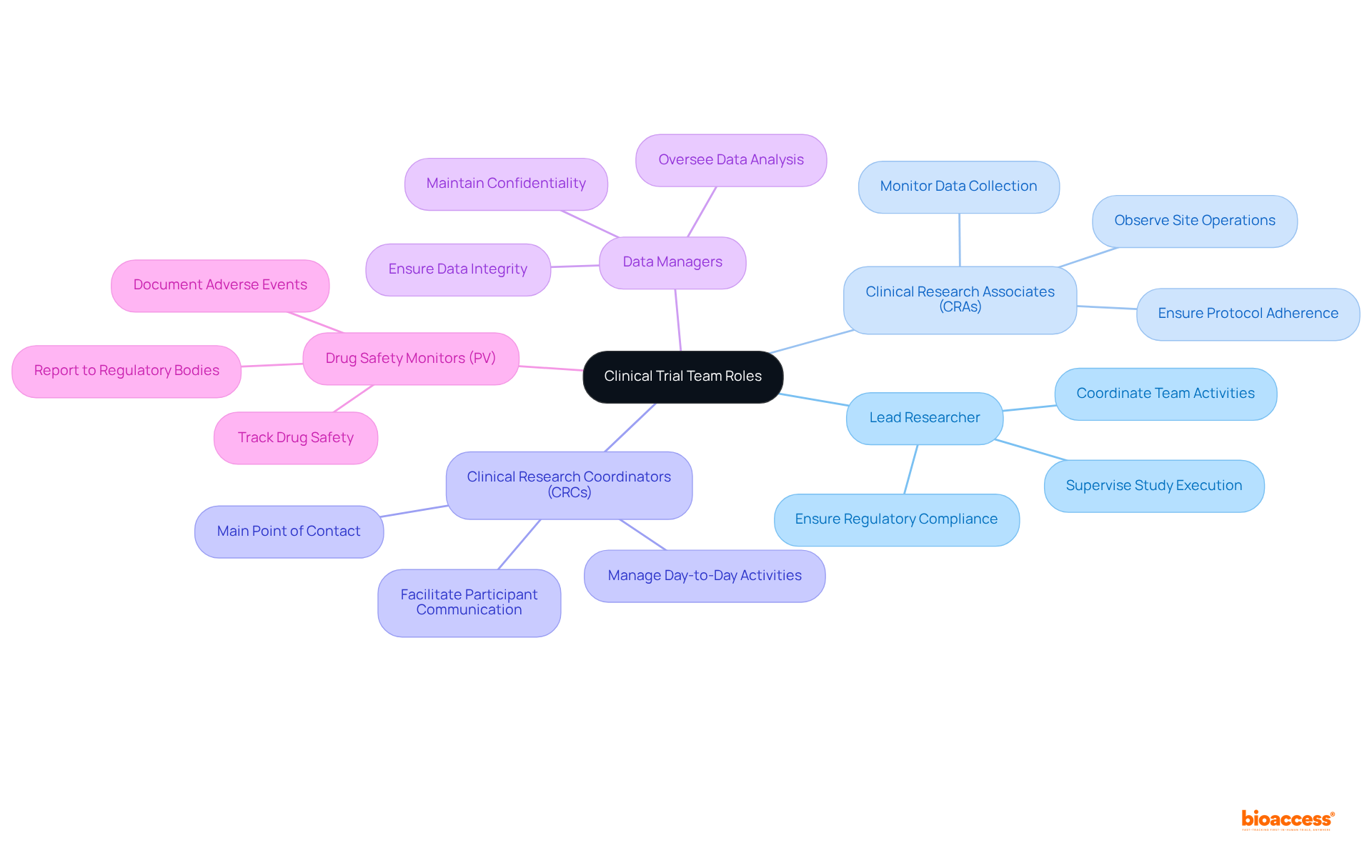 The central node represents the overall team structure, and each branch shows a specific role. The sub-branches detail what each role is responsible for, helping you see how everyone contributes to the study.