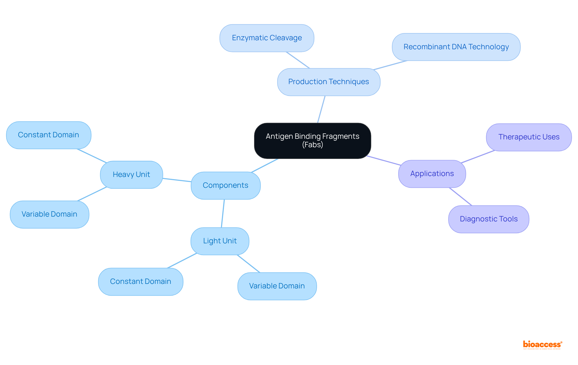 This mindmap starts with the central concept of Fabs and branches out to show how their components work together, the methods of production, and their applications in medicine. Each branch represents a different aspect of Fabs, helping you see how everything connects.