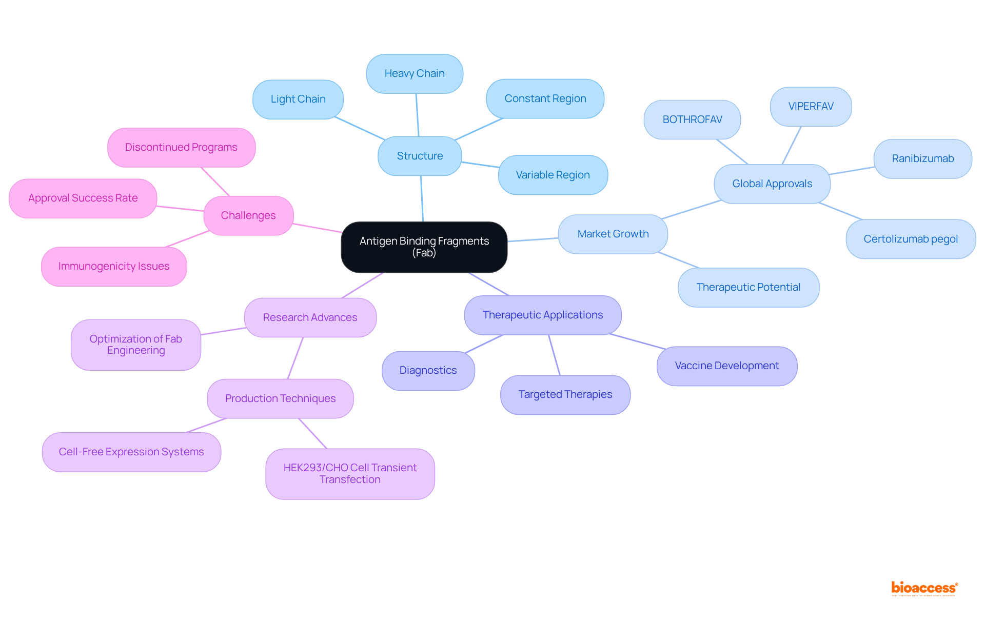 The central node shows the main topic of Fab fragments, and the branches illustrate key areas of focus: how they are structured, their market status, applications in therapy, ongoing research improvements, and challenges faced in their development.