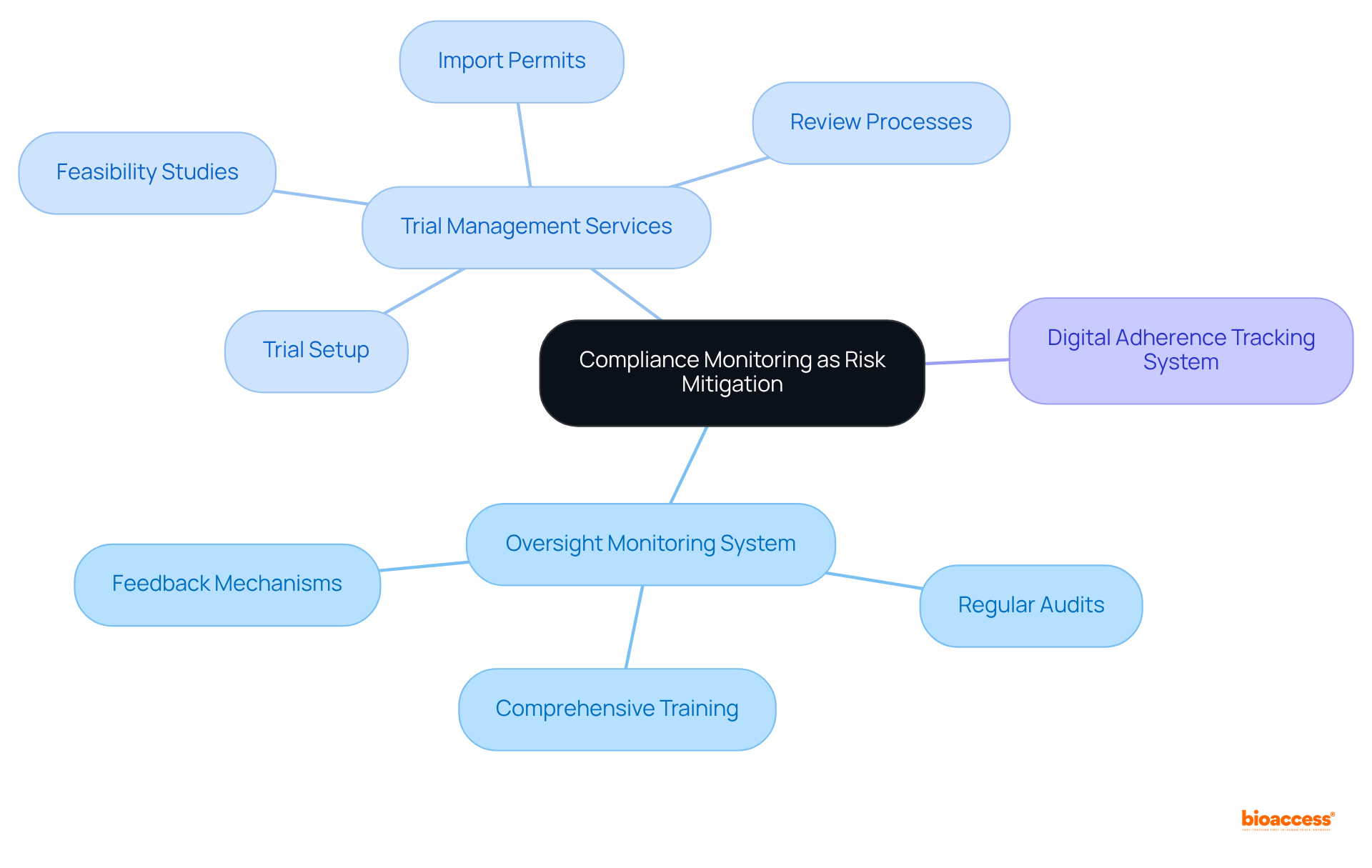 Start at the center with compliance monitoring, then explore the branches to see the various strategies and examples that support effective risk mitigation.