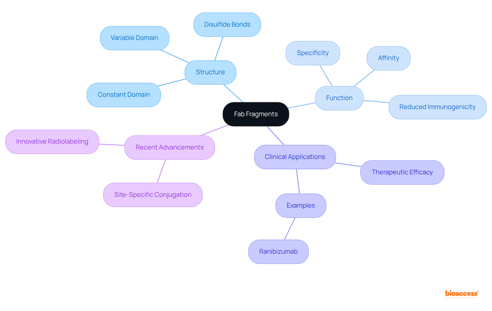 Start at the center with Fab fragments, and follow the branches to explore their structure, how they function, their clinical significance, and the latest advancements in research.