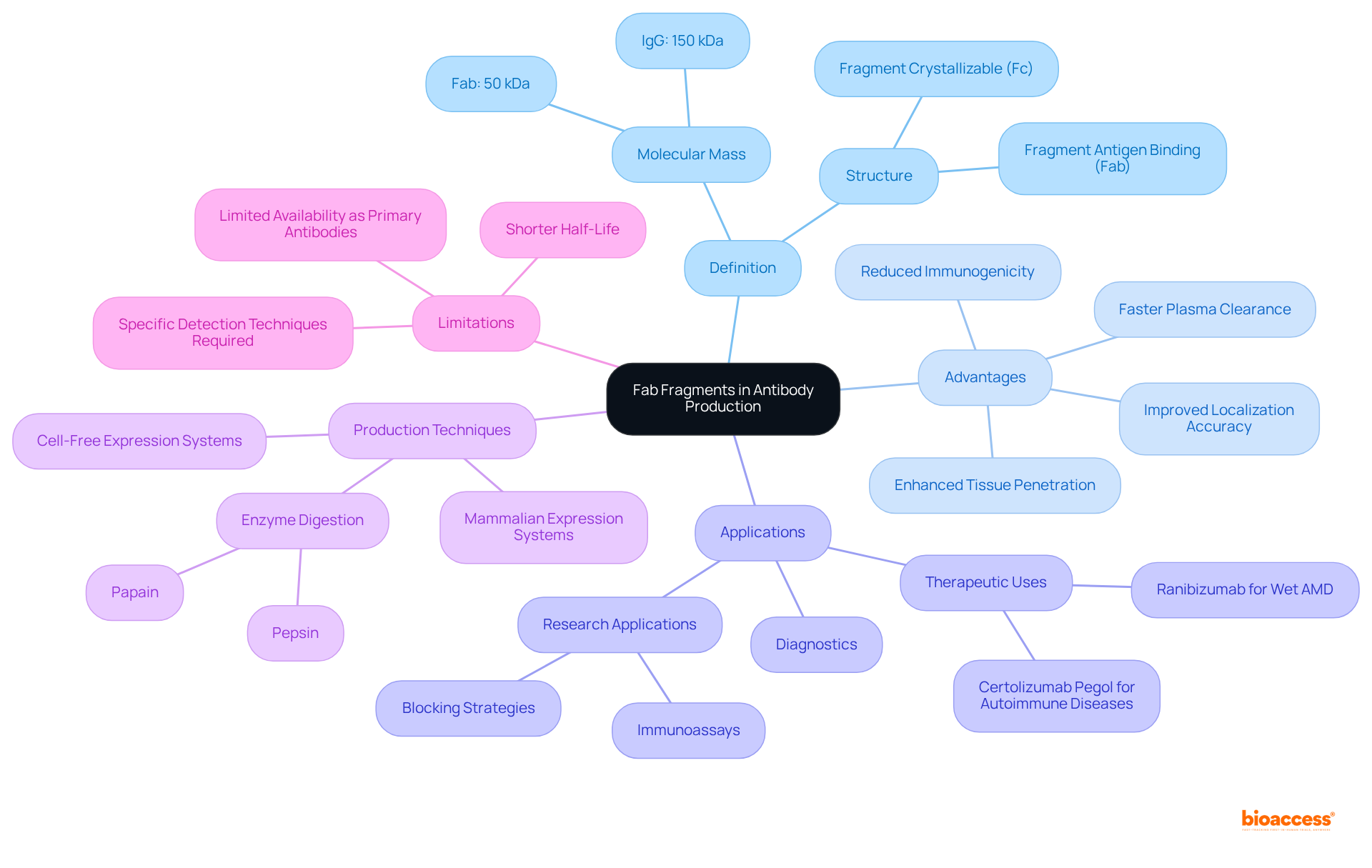 The central node represents Fab fragments, which branch out into their definition, advantages, applications, production methods, and limitations. Each color-coded branch helps to visualize how these different aspects relate to the overall topic.