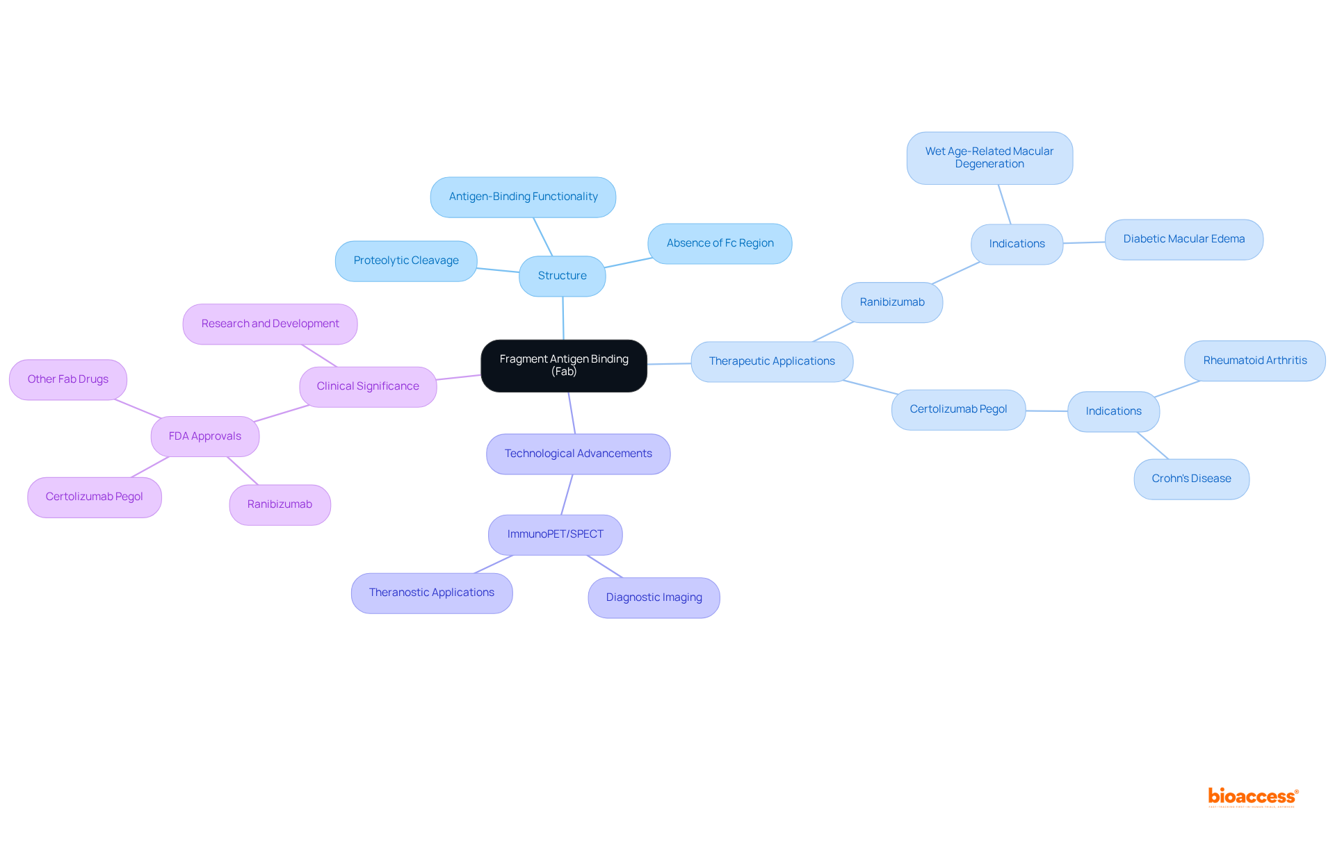 The center node represents the main topic, and each branch offers insights into different aspects of Fab, helping you understand its structure, uses, and innovations in the field of immunology.