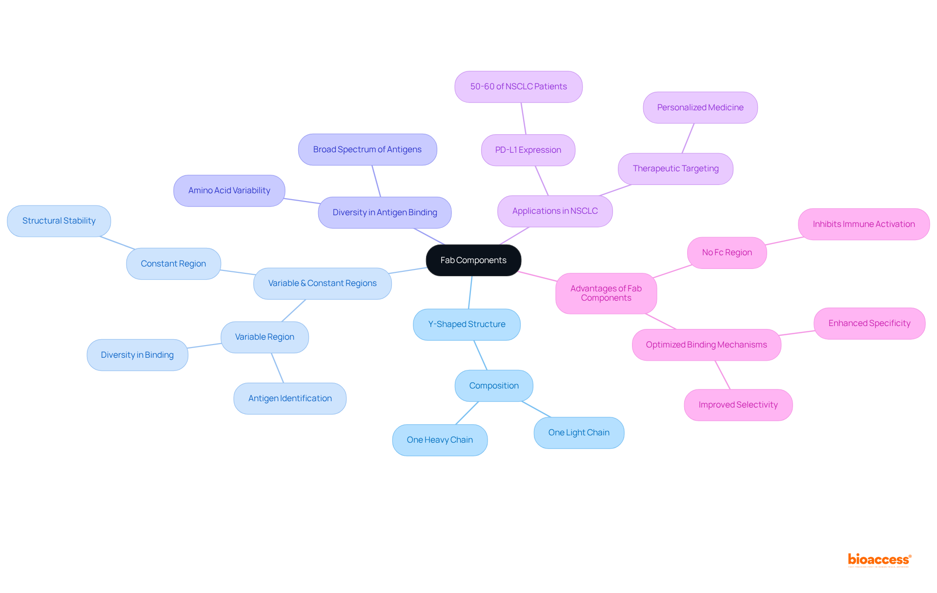Follow the branches to explore the unique characteristics of Fab components. Each main branch highlights a key feature, while sub-branches provide additional details — it's a visual guide to understanding how Fab components function and their significance in targeted therapies.