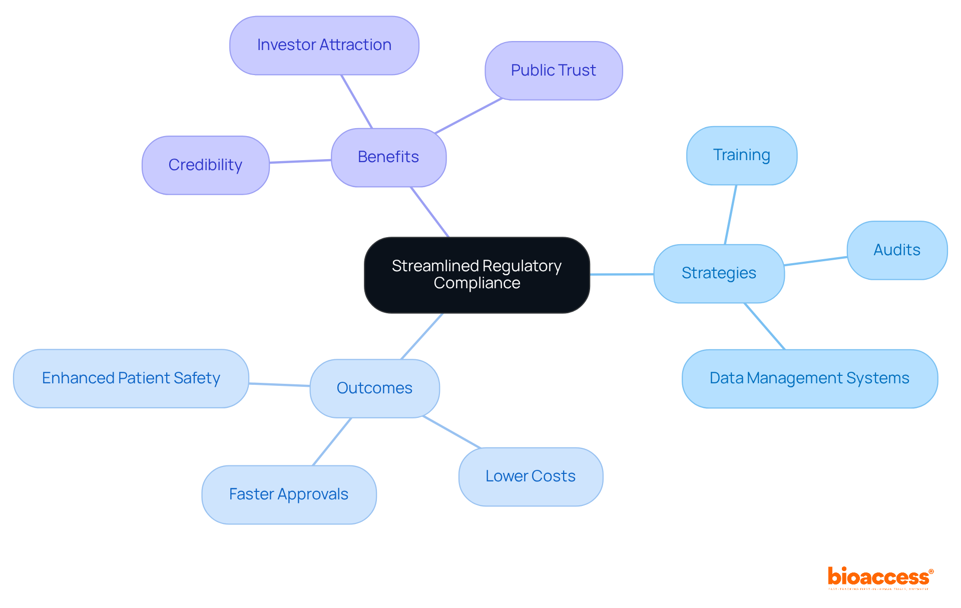 The center represents the main focus on compliance, with branches showing the specific strategies employed and their corresponding outcomes and benefits, helping to visualize the interconnectedness of compliance efforts.