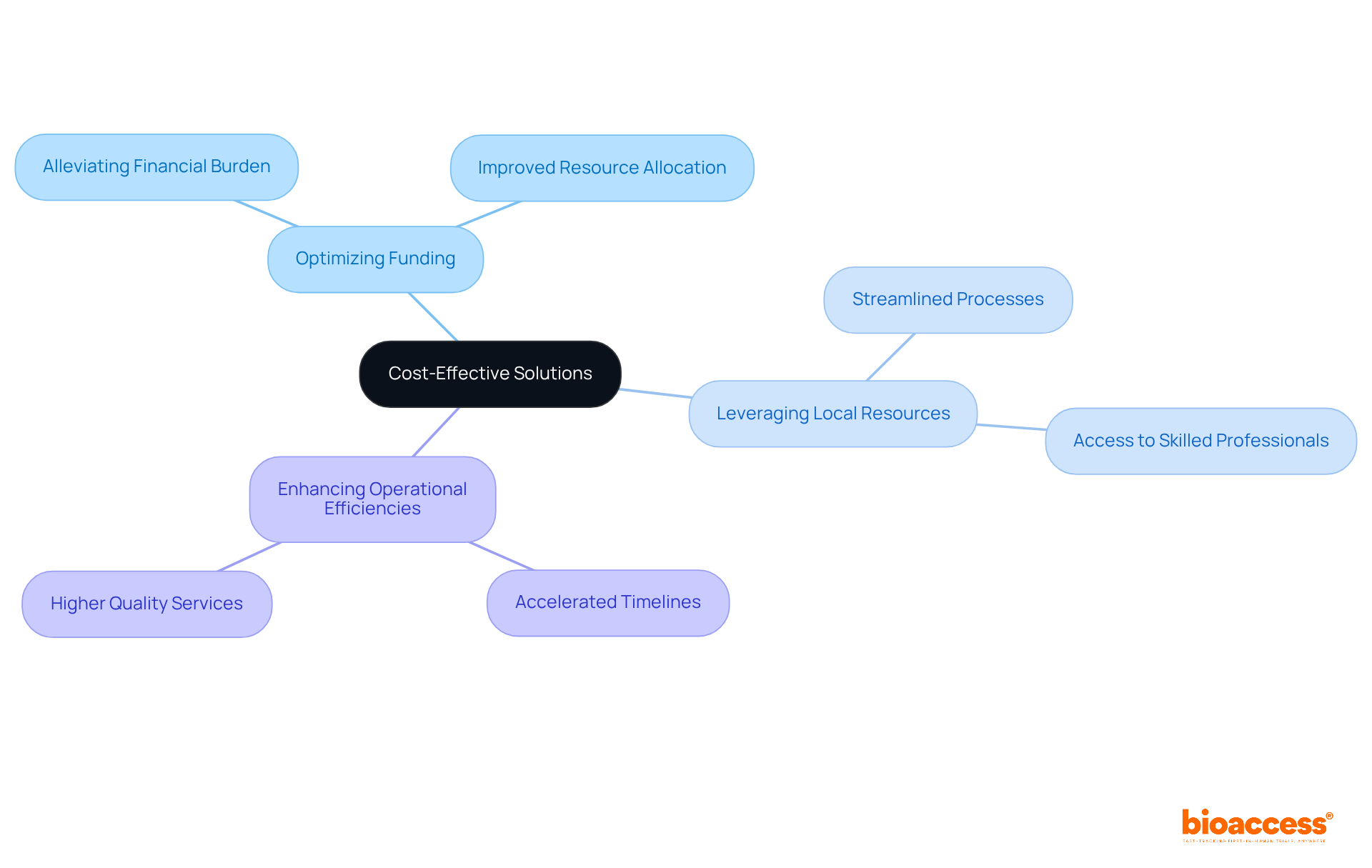 The central idea is about maximizing budgets, and each branch shows different strategies and their positive impacts. Follow the branches to see how each strategy contributes to the overall goal.