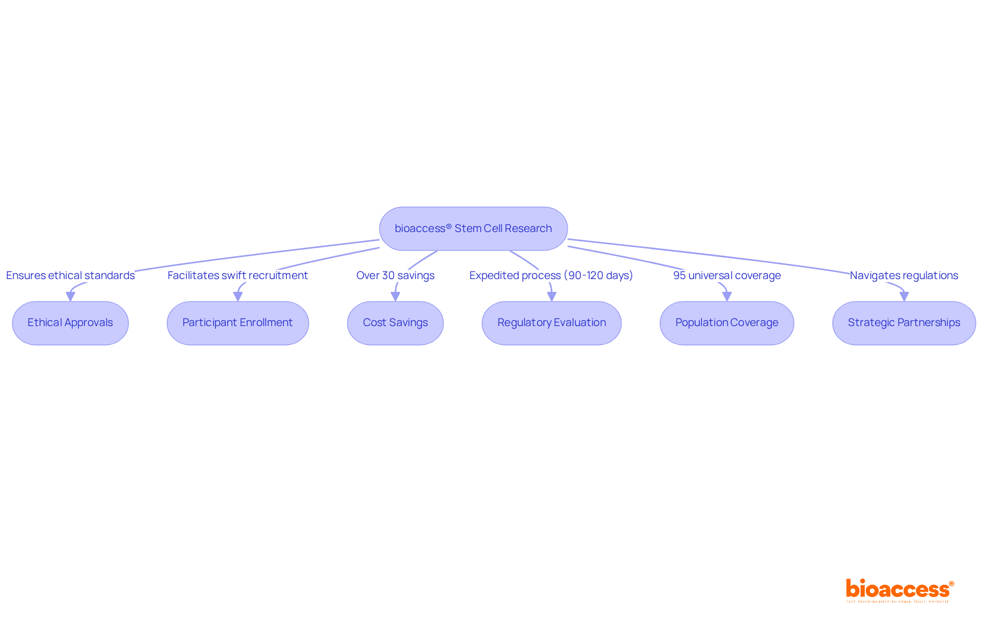 Each box represents a critical component of bioaccess®'s research process. Follow the arrows to see how ethical approvals, participant recruitment, and other factors work together to speed up the development of treatments for type 1 diabetes.