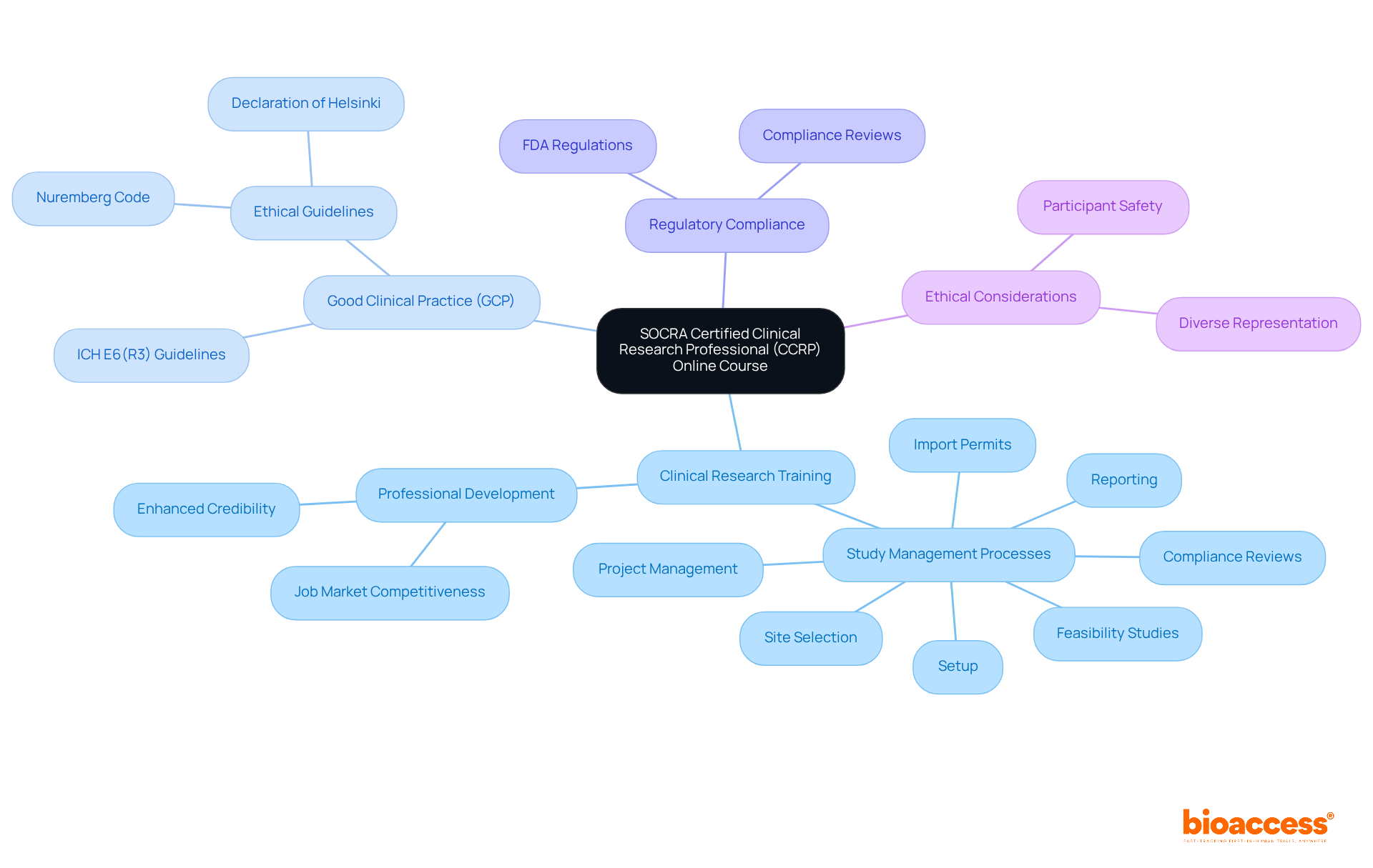 The mindmap starts at the center with the CCRP Course, branching out into key areas of study and training. Each branch represents a vital topic in clinical research, helping you understand how they all connect and contribute to professional development. The mindmap starts at the center with the CCRP Course, branching out into key areas of study and training. Each branch represents a vital topic in clinical research, helping you understand how they all connect and contribute to professional development.
