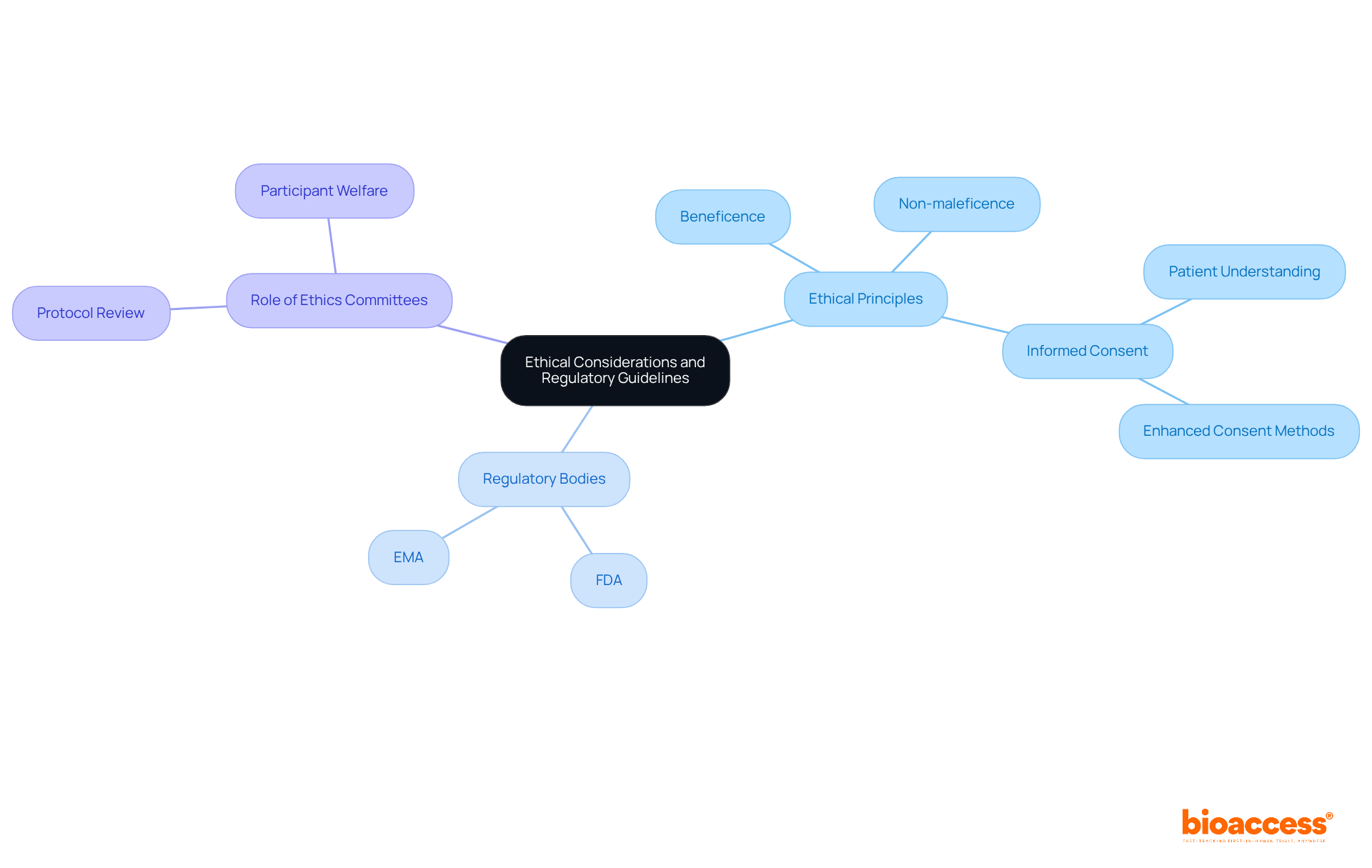 The central node represents the main topic, while the branches show key ethical principles and regulatory aspects. Each branch breaks down further into more specific ideas and entities, helping you understand how they all connect.