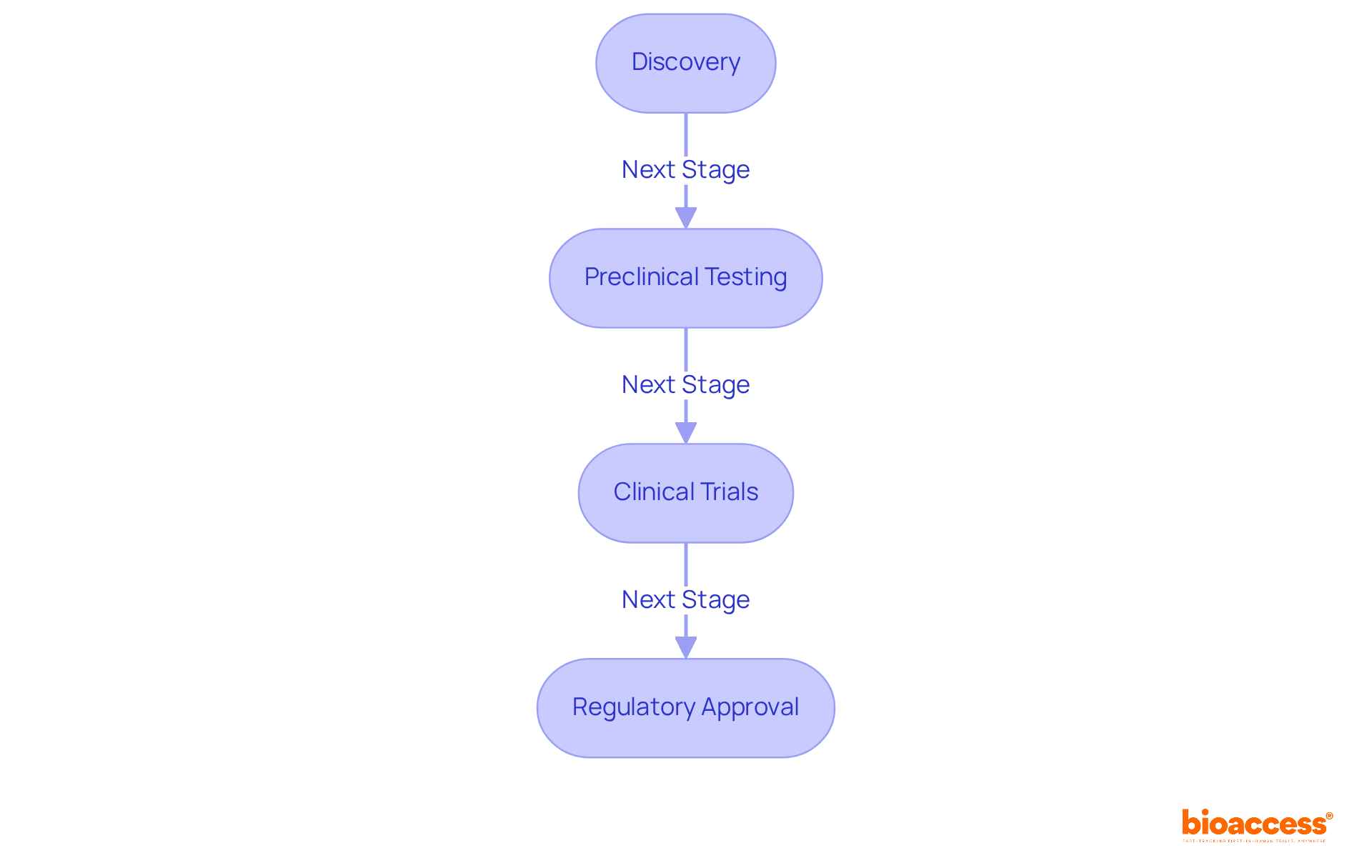 Each box represents a crucial stage in developing medications. Follow the arrows to see how the process unfolds, from initial discovery to final regulatory approval.