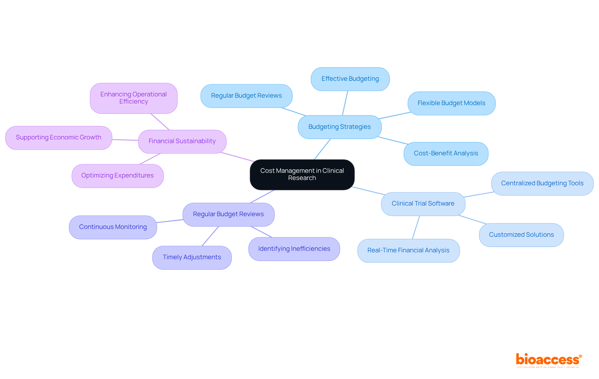 The central idea is cost management, with branches representing key strategies and tools. Follow the branches to discover how each element contributes to optimizing budgets and resources.