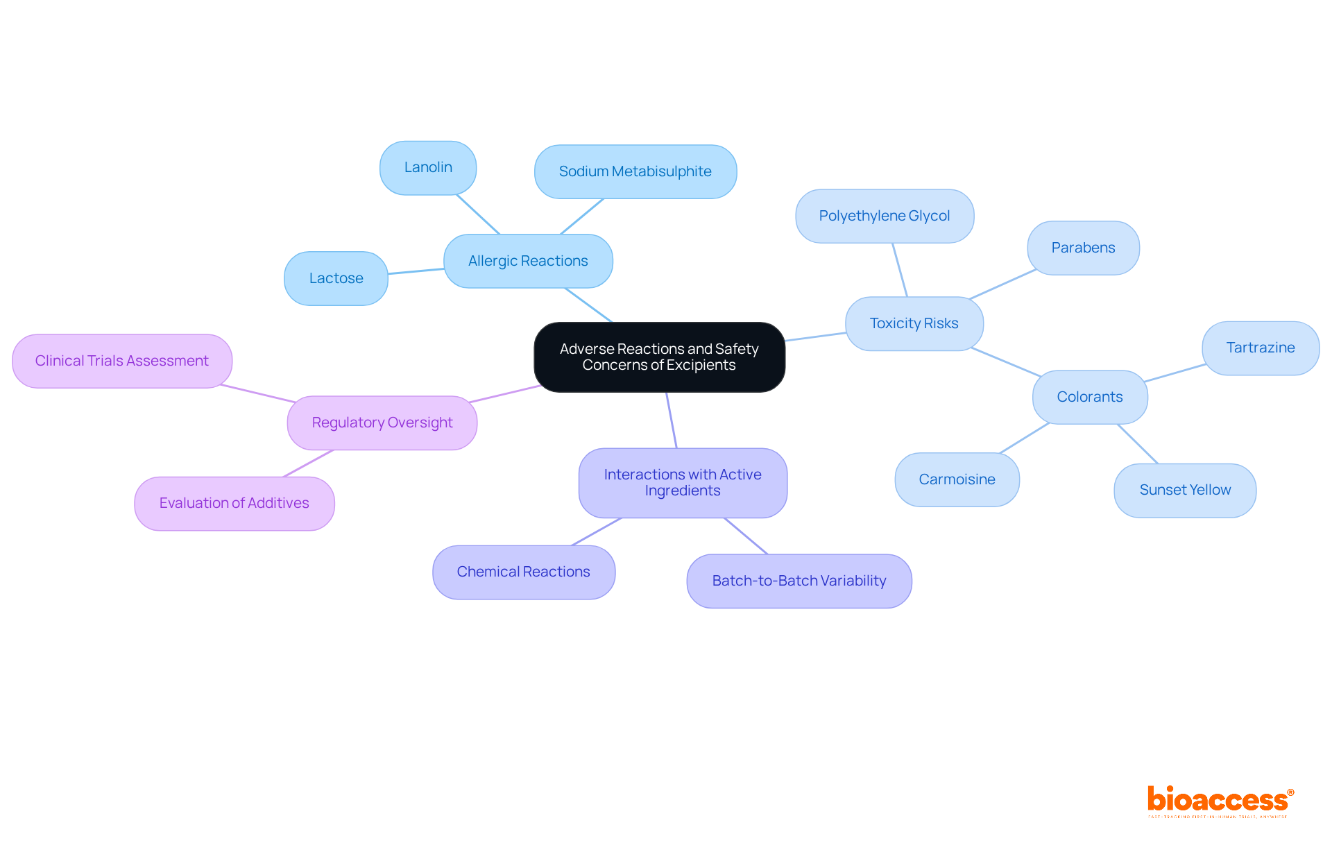 The central idea represents the overall topic, while each branch highlights a key safety concern. Sub-points provide examples or details, helping you understand the complexity and importance of excipients in drug formulation.