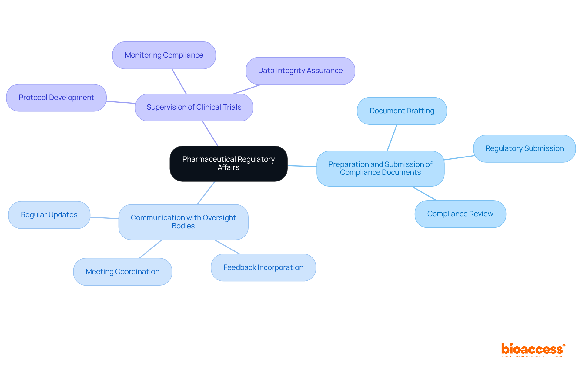 The central node represents the field of Regulatory Affairs, and the branches show key activities involved. Each branch demonstrates a specific area of focus, illustrating how they all contribute to ensuring pharmaceutical safety and compliance.