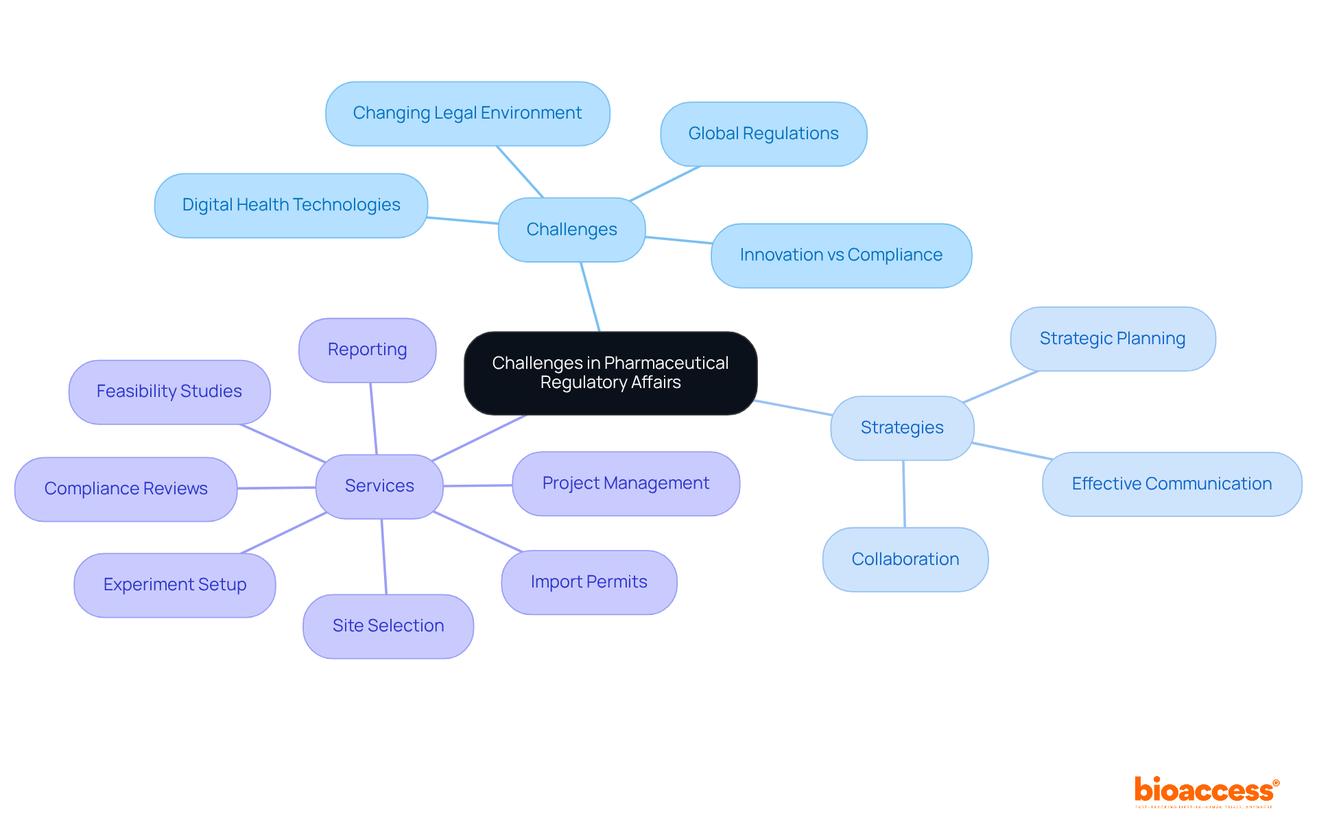 The central node represents the main topic, while branches show the specific challenges, strategies to deal with them, and services available to help navigate these complexities.