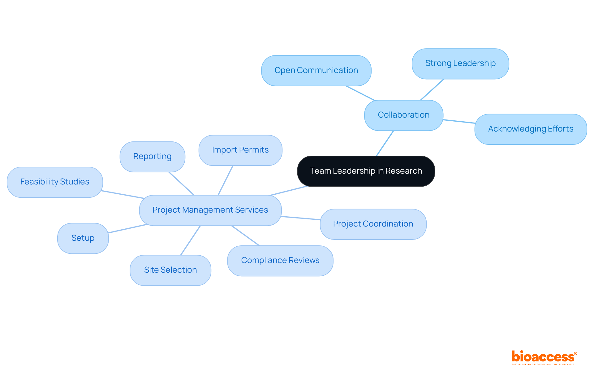 At the center is the focus on team leadership, with branches showing how collaboration and specific services contribute to successful research projects. Each branch represents an important aspect, helping you see how they connect.