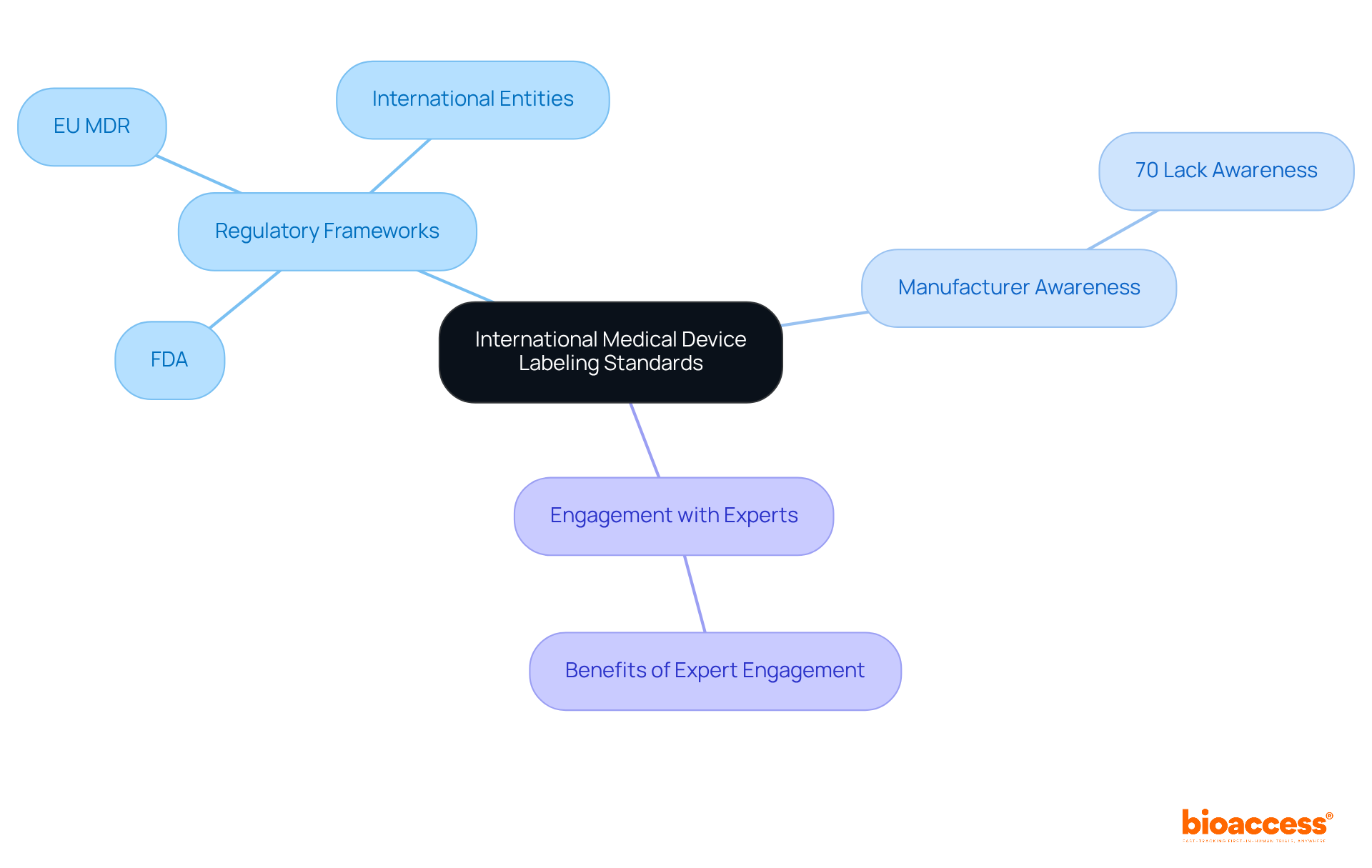 The center represents the overall topic of international labeling standards, with branches showing different frameworks, the level of awareness among manufacturers, and the importance of expert engagement.