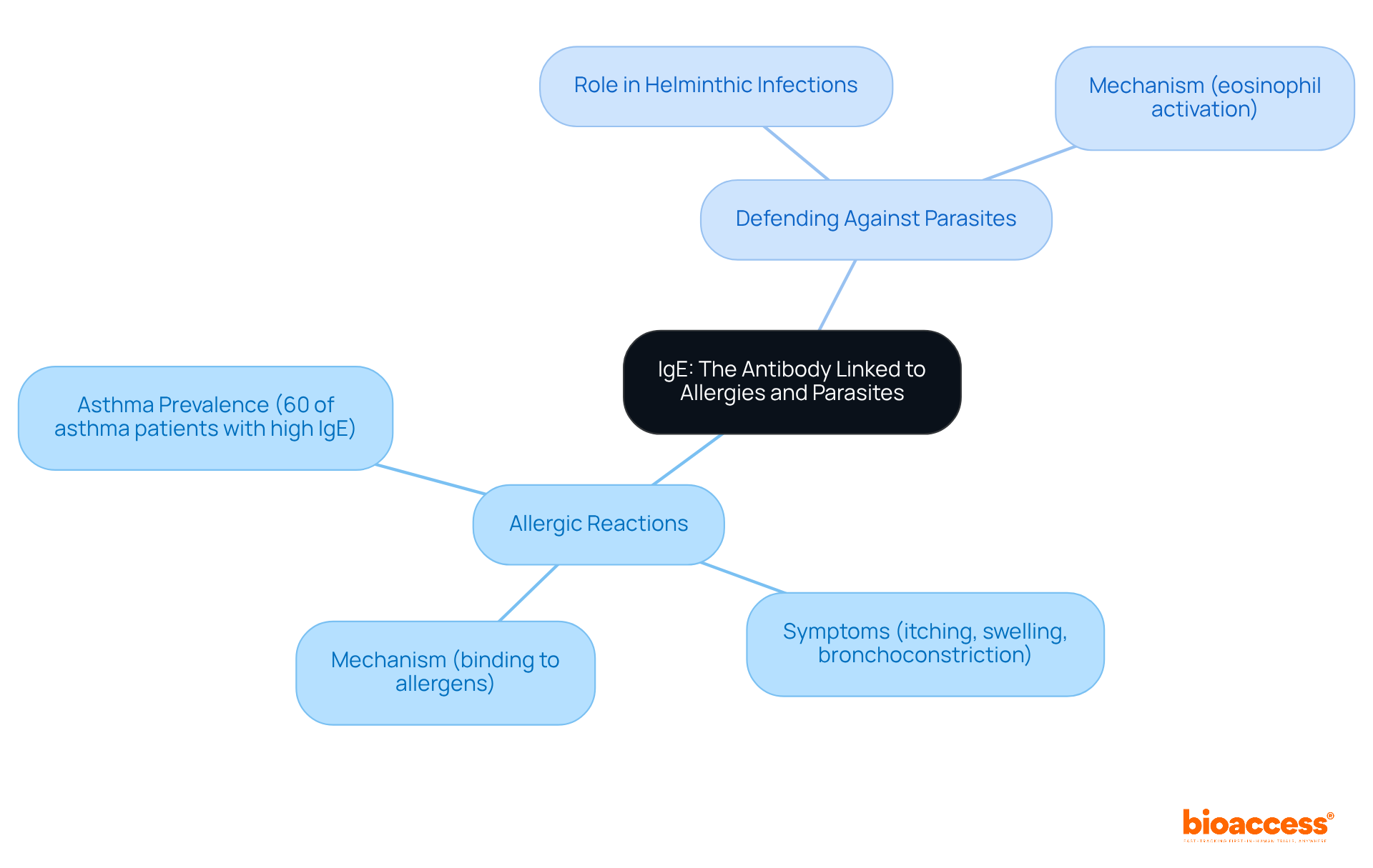 This mindmap shows how IgE functions in two key areas: allergies and parasitic infections. Follow the branches to explore IgE's mechanisms, associated symptoms, and its importance in managing asthma and immune responses.