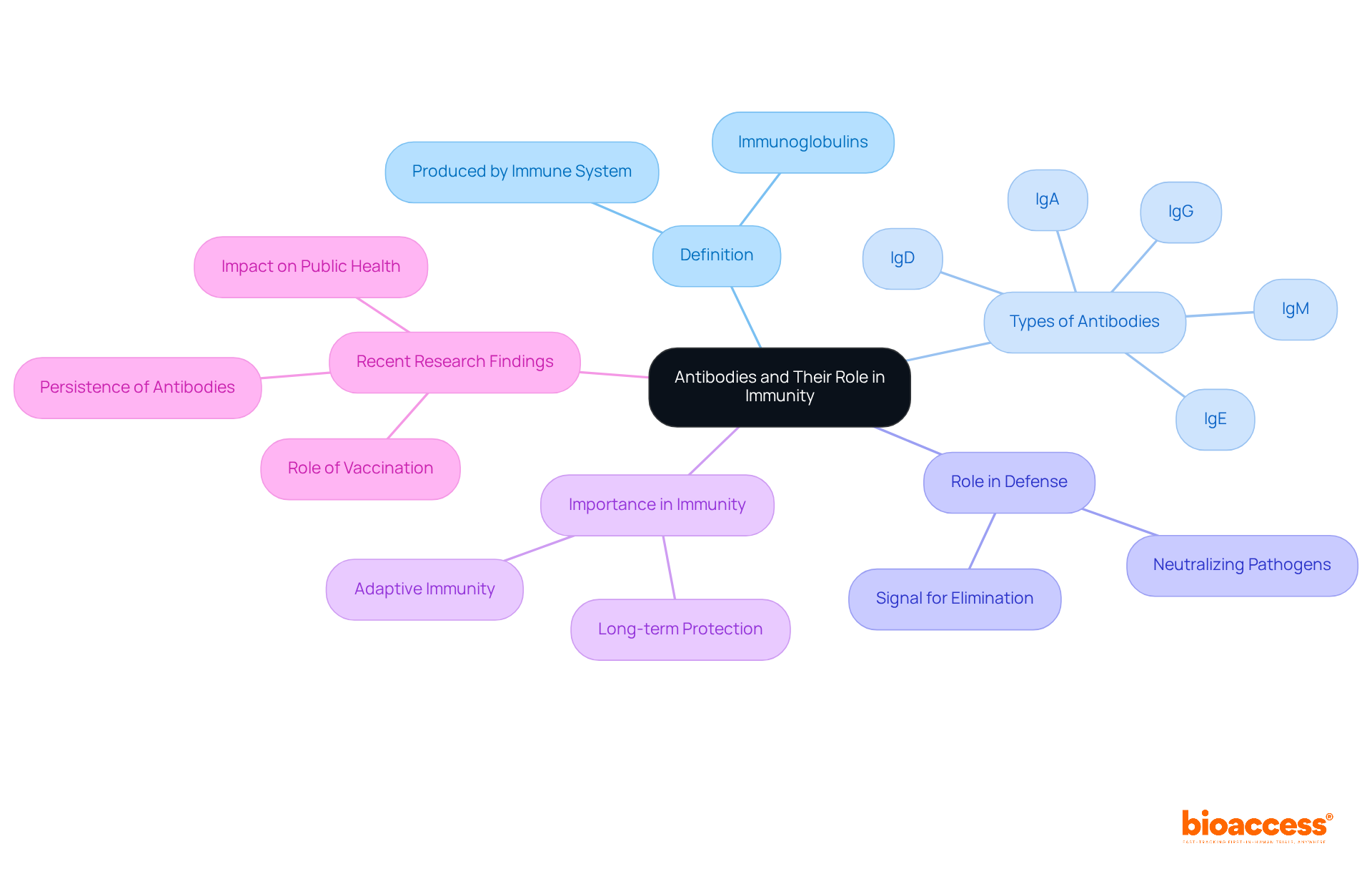 The center represents the main topic of antibodies. Each branch goes into key aspects like their definition, types, and functions, helping you visualize how these elements connect and contribute to our immune system.