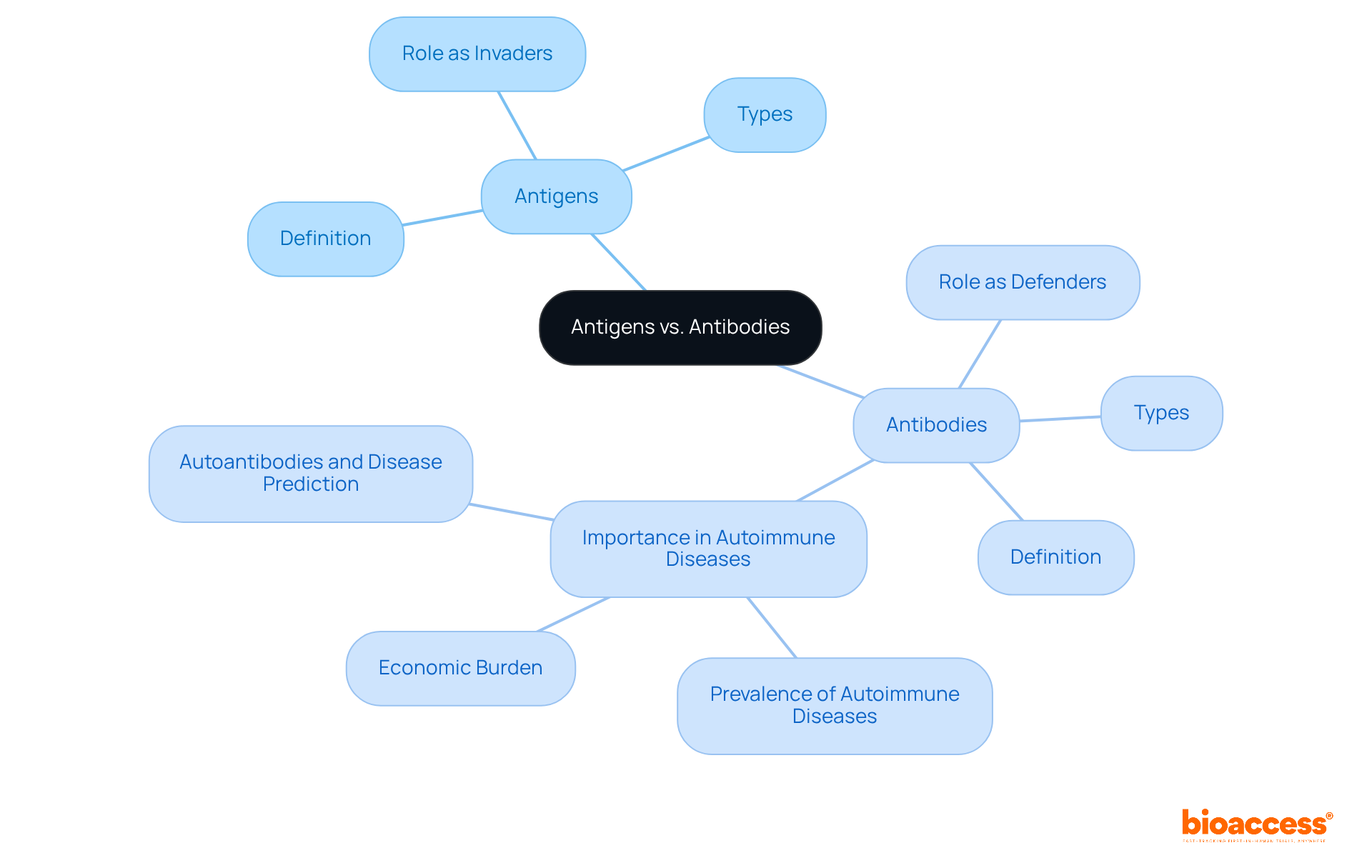 The central node represents the main topic. The branches indicate the key differences and roles of antigens (the invaders) and antibodies (the defenders), with sub-branches providing additional details and context.