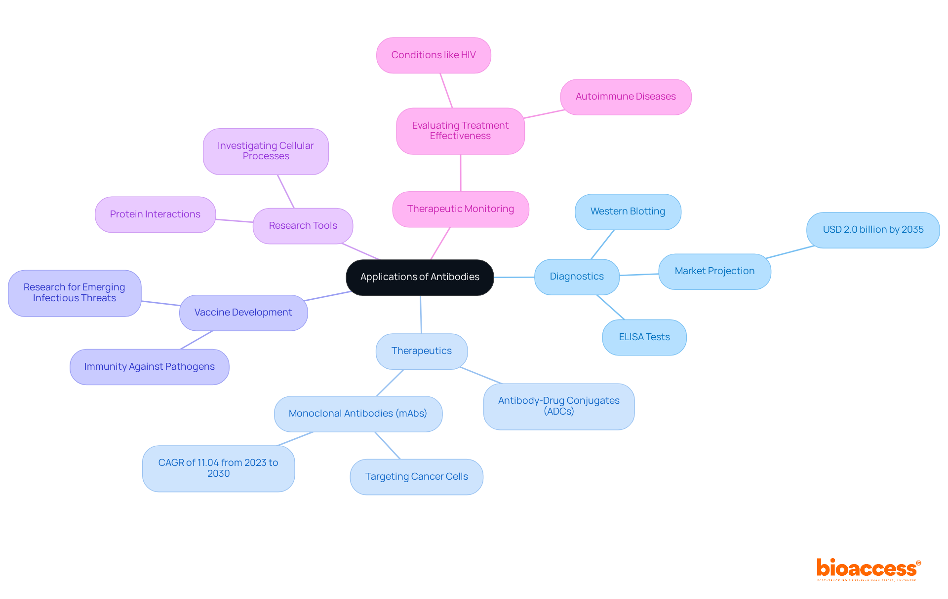The central node represents the overarching theme of antibody applications. Each branch highlights a specific area of application, showcasing its importance and contributions to healthcare and research.