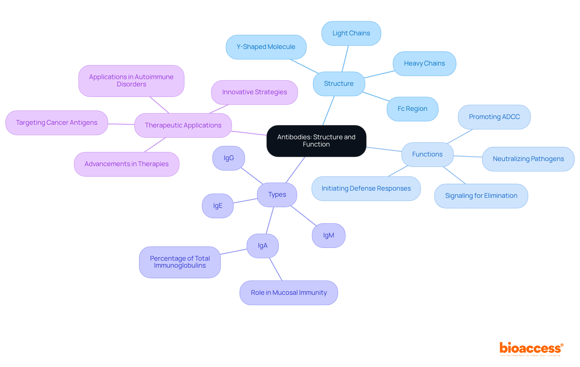 Start at the center with the term 'Antibodies' and follow the branches to explore their structure, roles, and how they contribute to health and therapies.