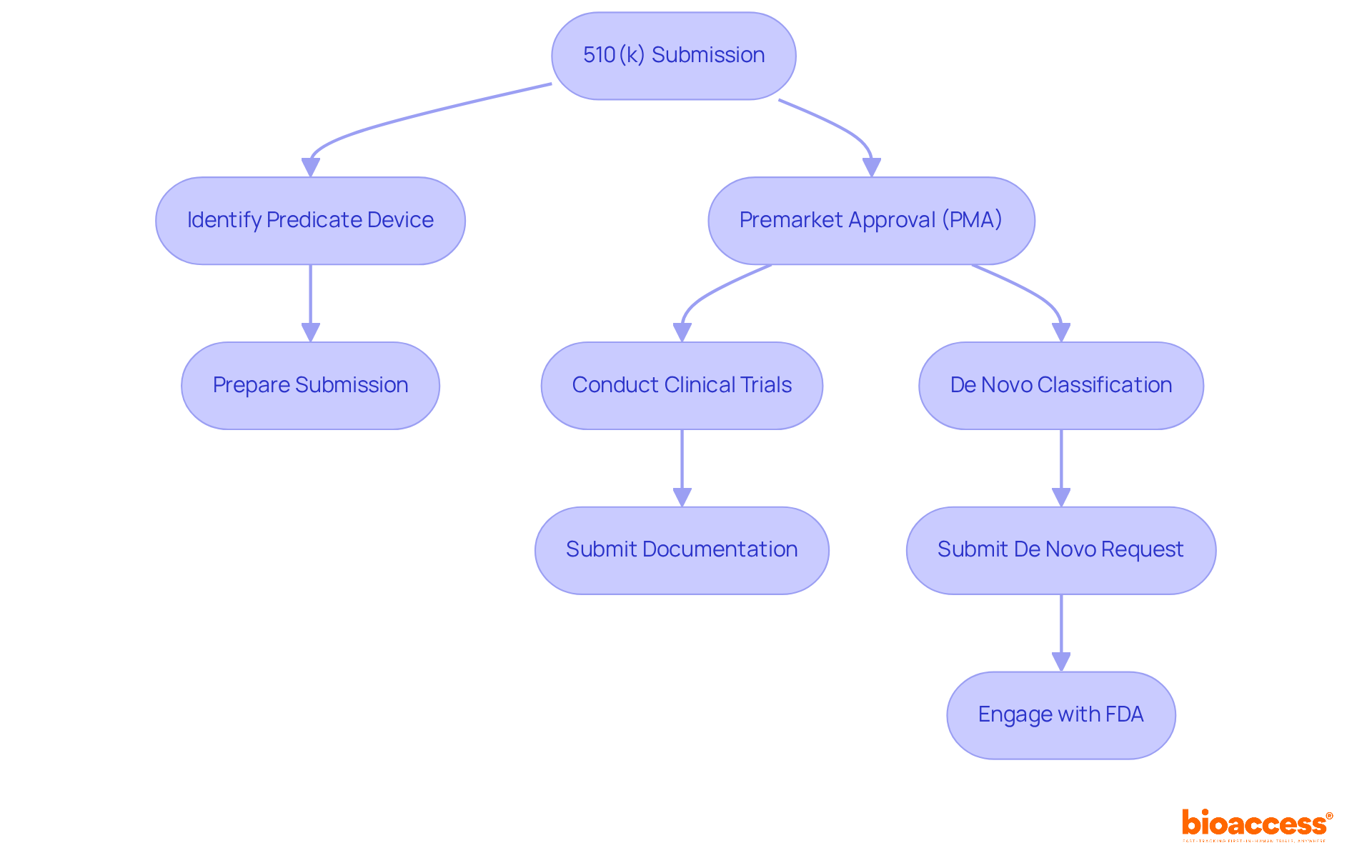 Each section represents a different FDA approval pathway — follow the arrows to see the key steps in each process.