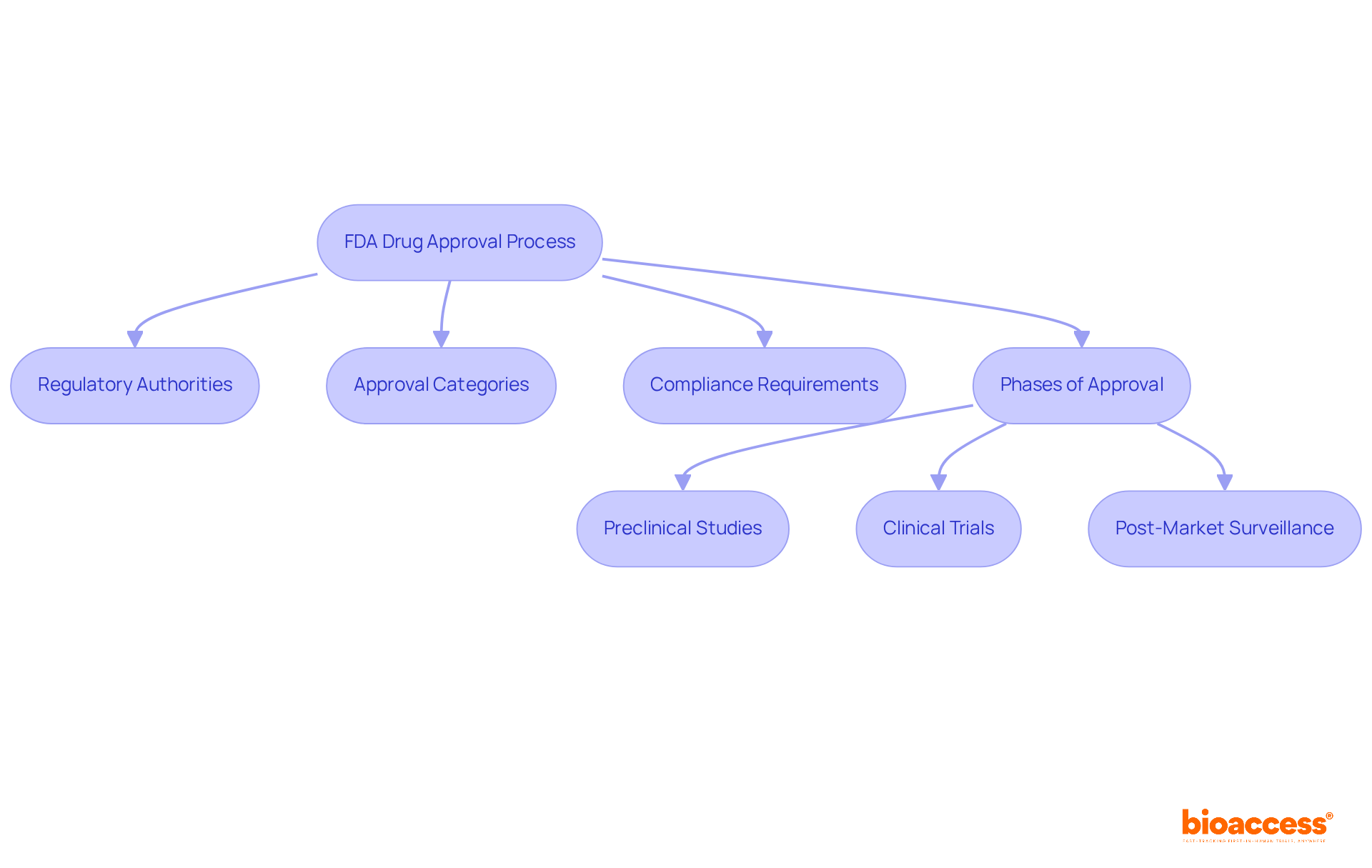This flowchart illustrates the steps and components involved in the FDA drug approval process. Follow the arrows to see how each part is connected and how the process flows from one stage to the next.