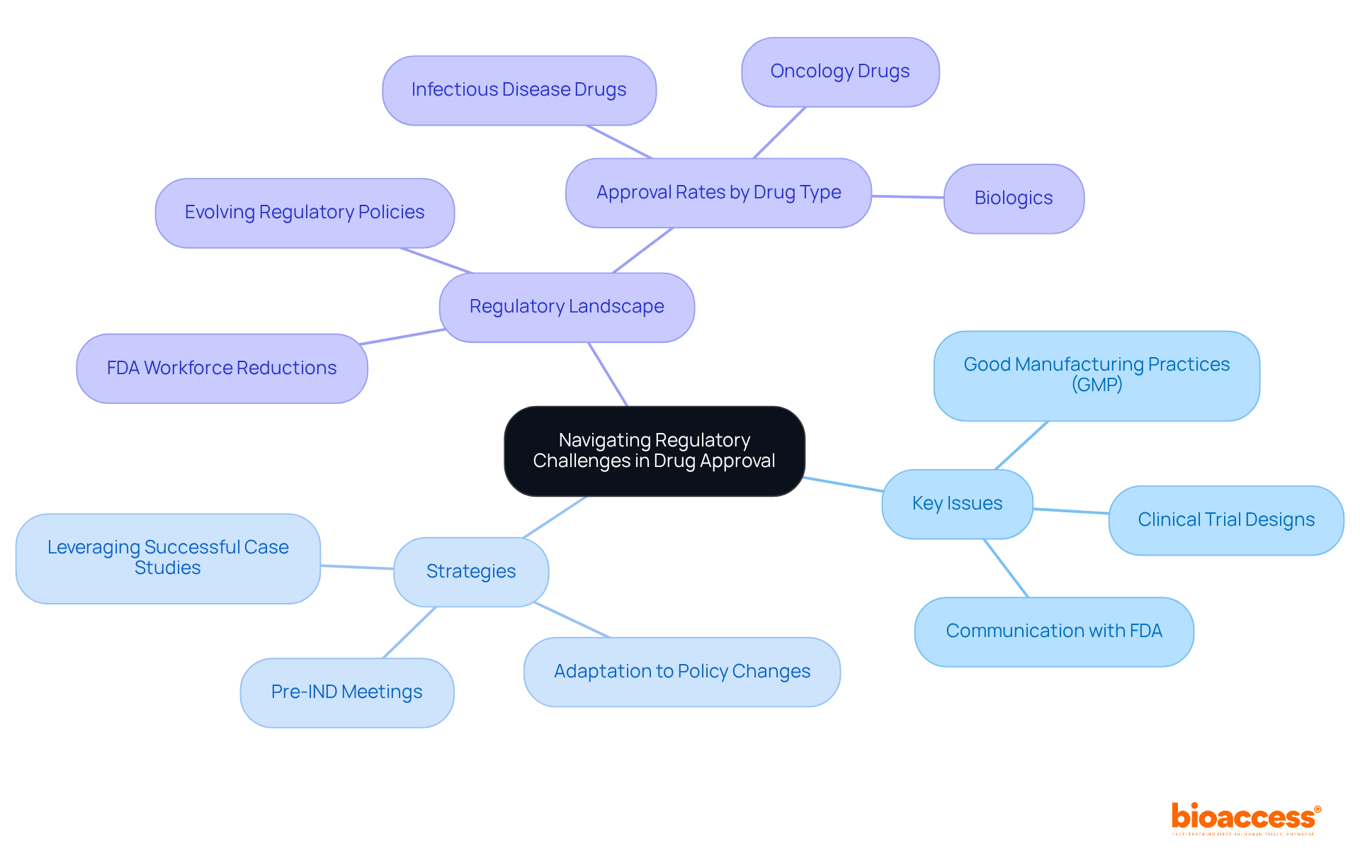 The central node represents the overall challenge, with branches indicating specific issues and strategies. Follow the branches to see how each issue connects to strategic responses and the regulatory environment.