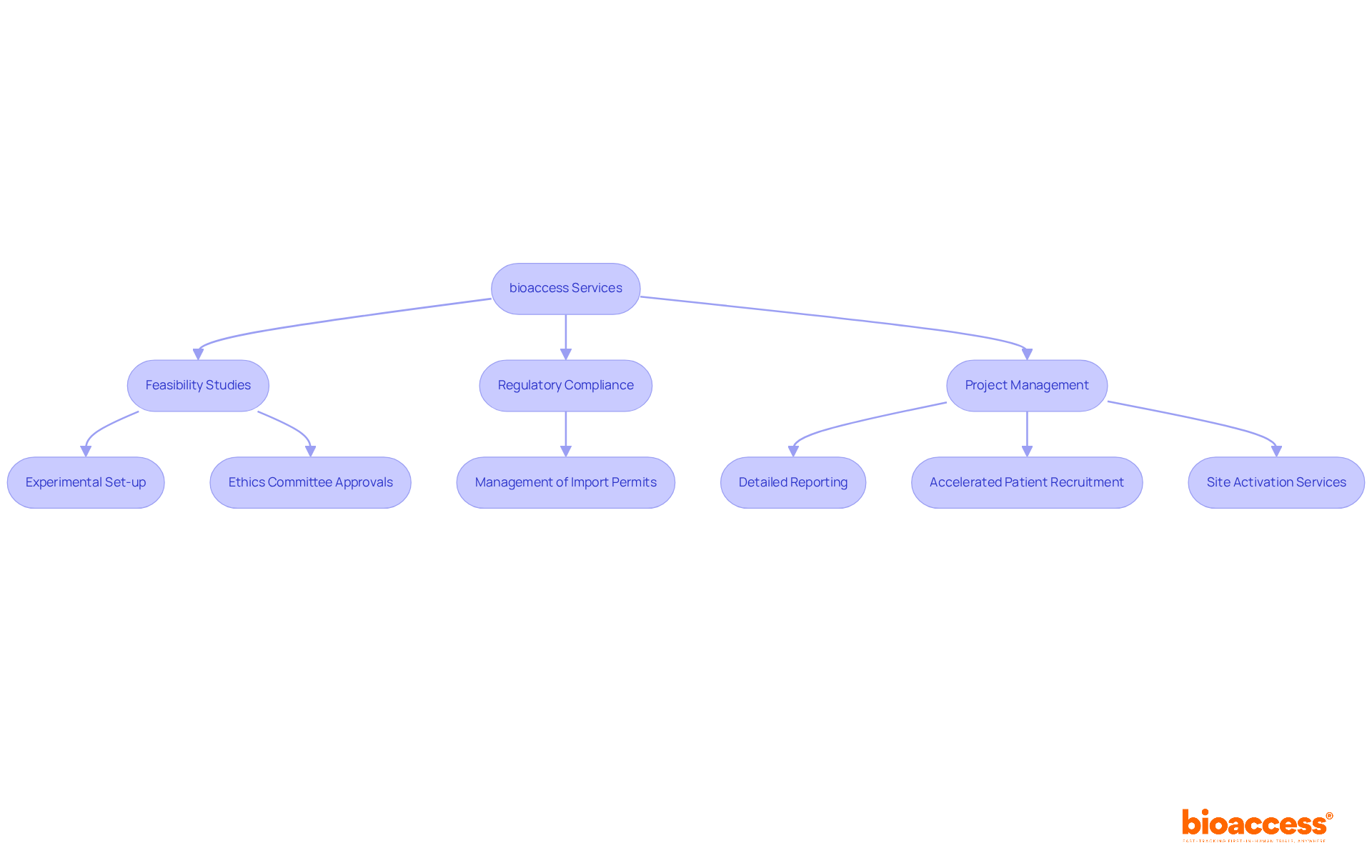 This flowchart outlines the various services bioaccess provides in the drug research process — follow the arrows to see how each service connects and contributes to the overall goal of effective clinical development.