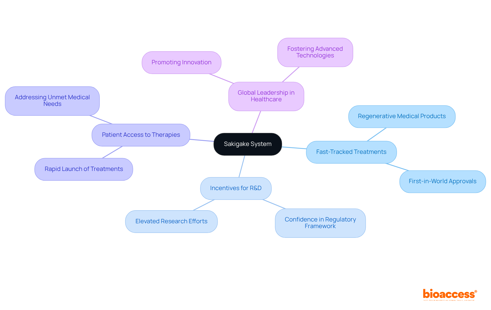 The central node represents the Sakigake system, with branches illustrating its various impacts on healthcare. Each branch shows a different aspect of the system's influence, making it easy to see how they connect and contribute to innovation.