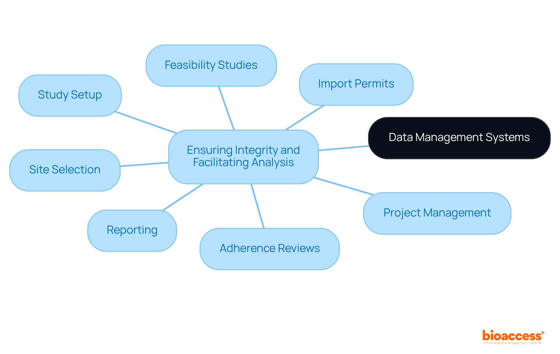 The center represents the core of data management systems. Each branch shows a specific service that contributes to maintaining data integrity and compliance. Follow the branches to understand how each service plays a role in the overall process.