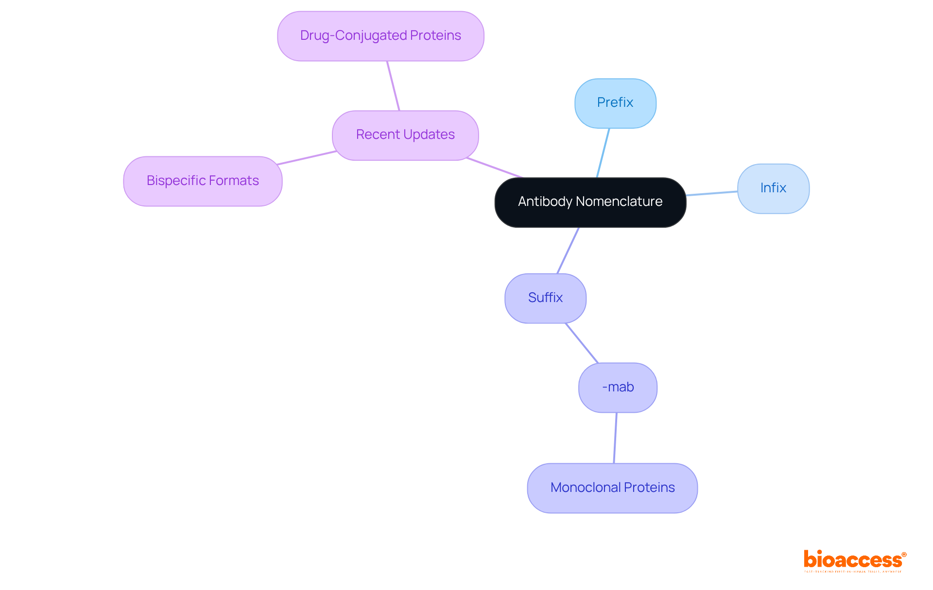 Start at the center with the main topic of antibody nomenclature, then follow the branches to explore its components and recent updates in naming conventions.