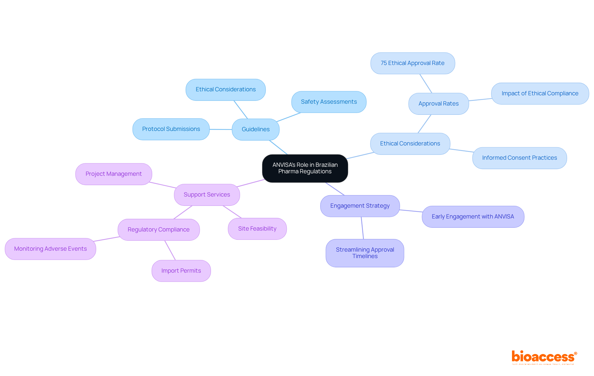 The central node represents ANVISA's overall influence, while the branches show key areas researchers must focus on, demonstrating how they interconnect with their study processes and compliance needs.