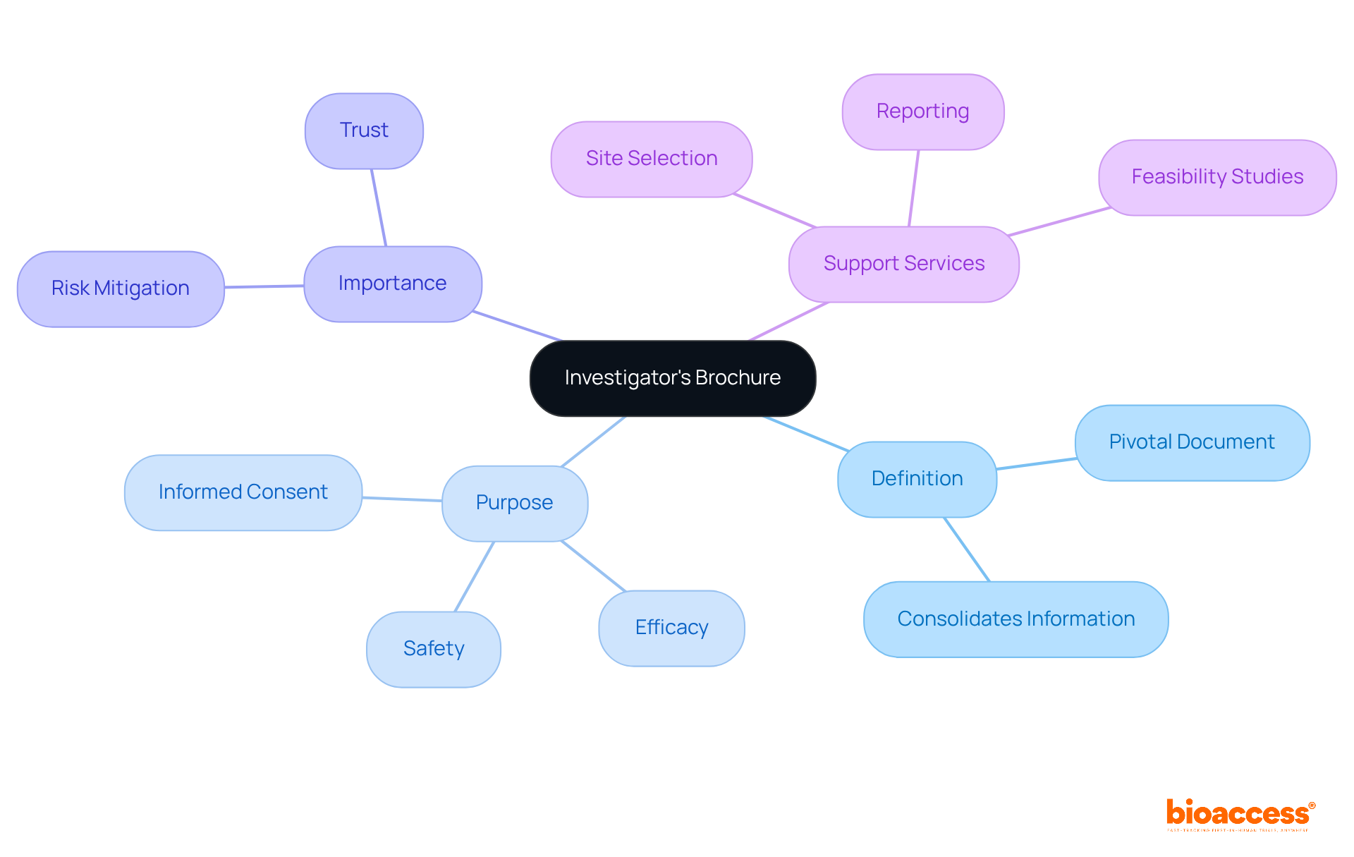 The center shows what the IB is, and the branches highlight its key features and supporting services. Each branch provides insight into how the IB functions in research, making it easier to understand its comprehensive role.