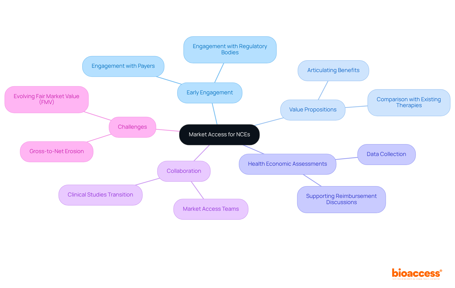 The center represents the core theme of market access, while the branches illustrate different strategies and considerations to successfully navigate the process. Follow the branches to explore each area in detail.